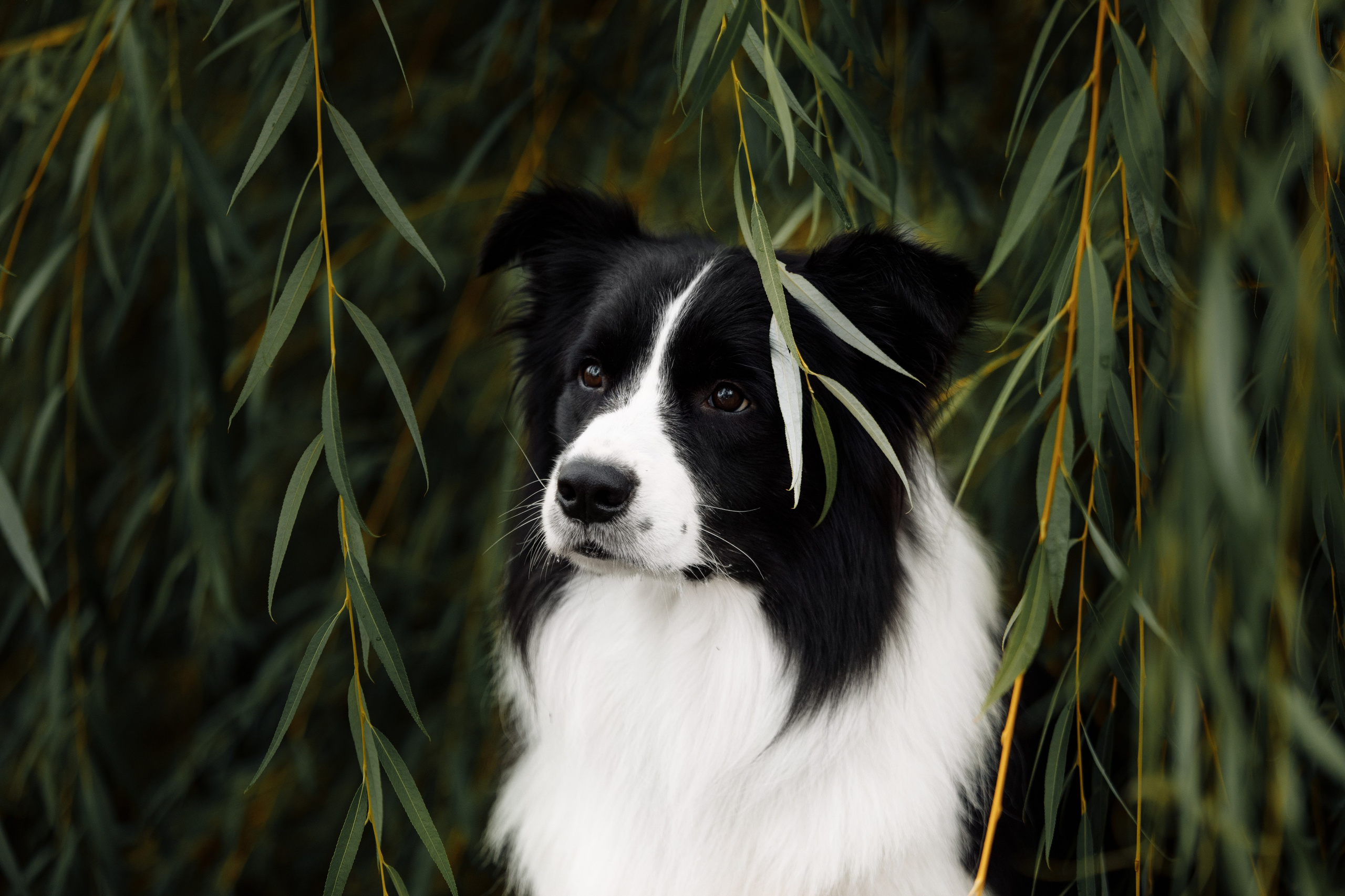 Казань. О нас