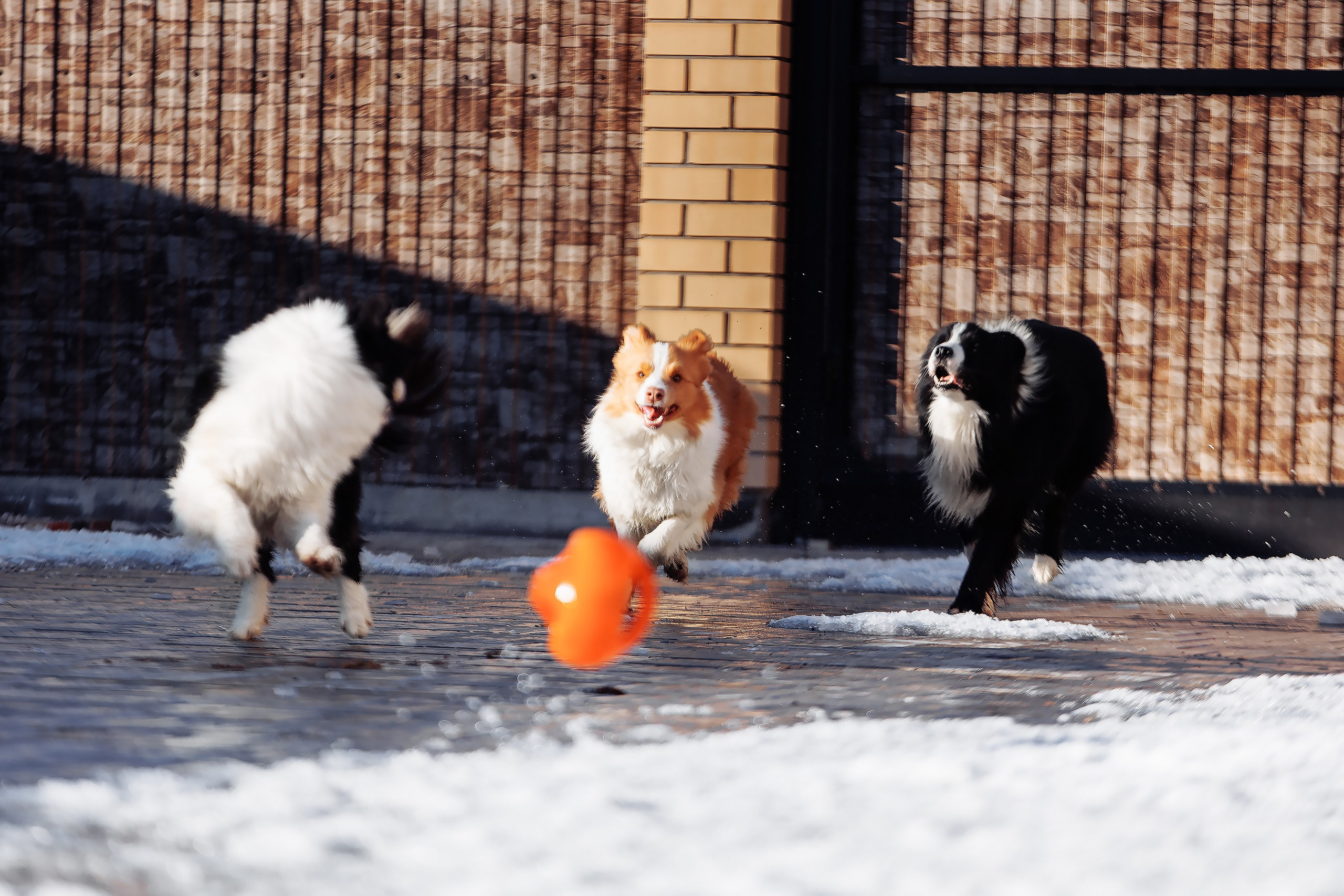 Пока таяло. О нас