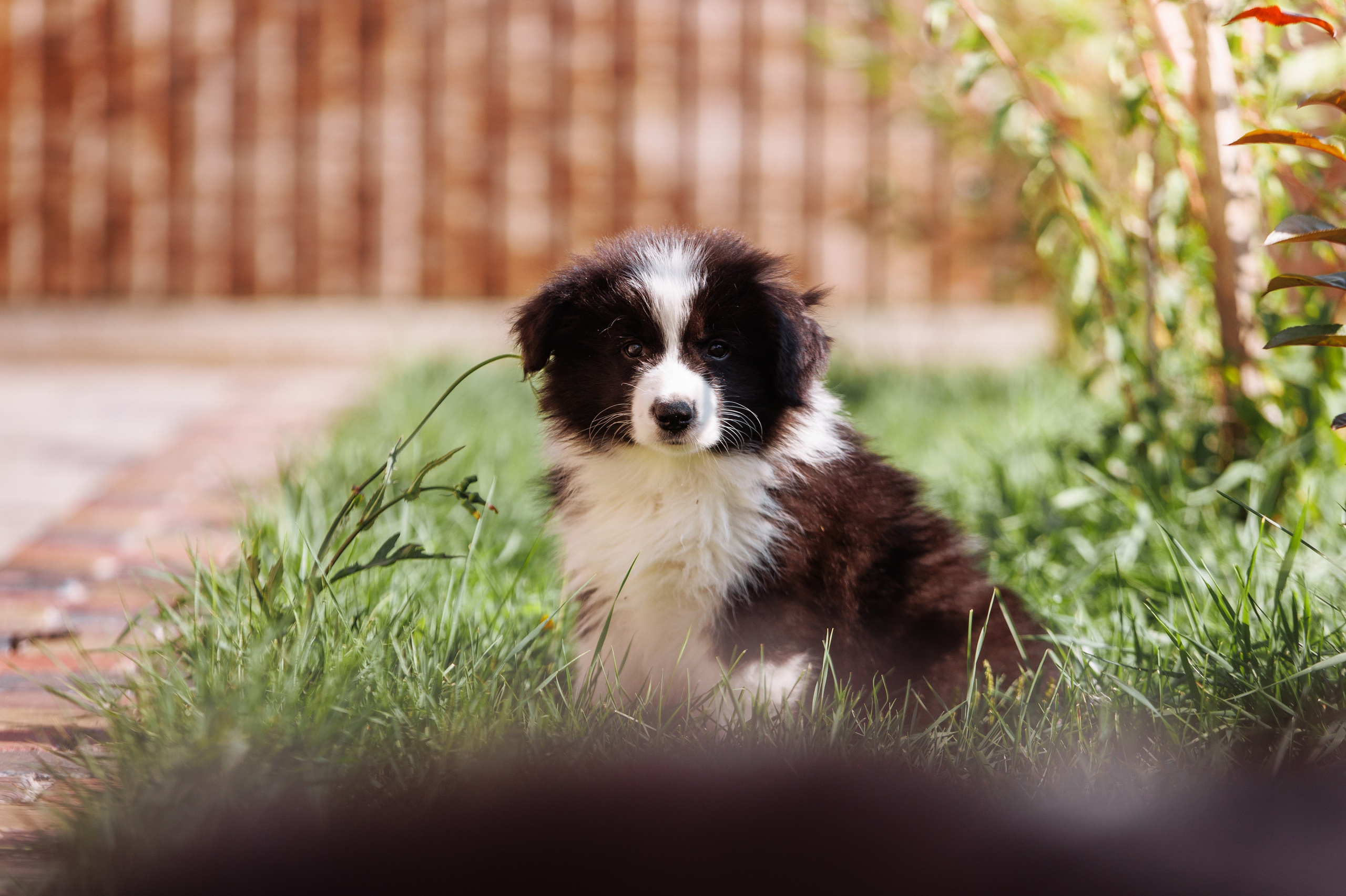 МММ — маленькое мягкое милое. О нас