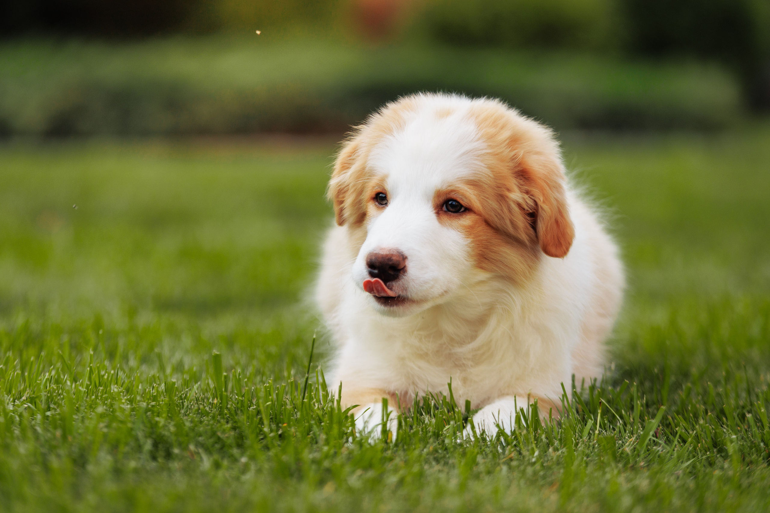 СОлнечные. О нас