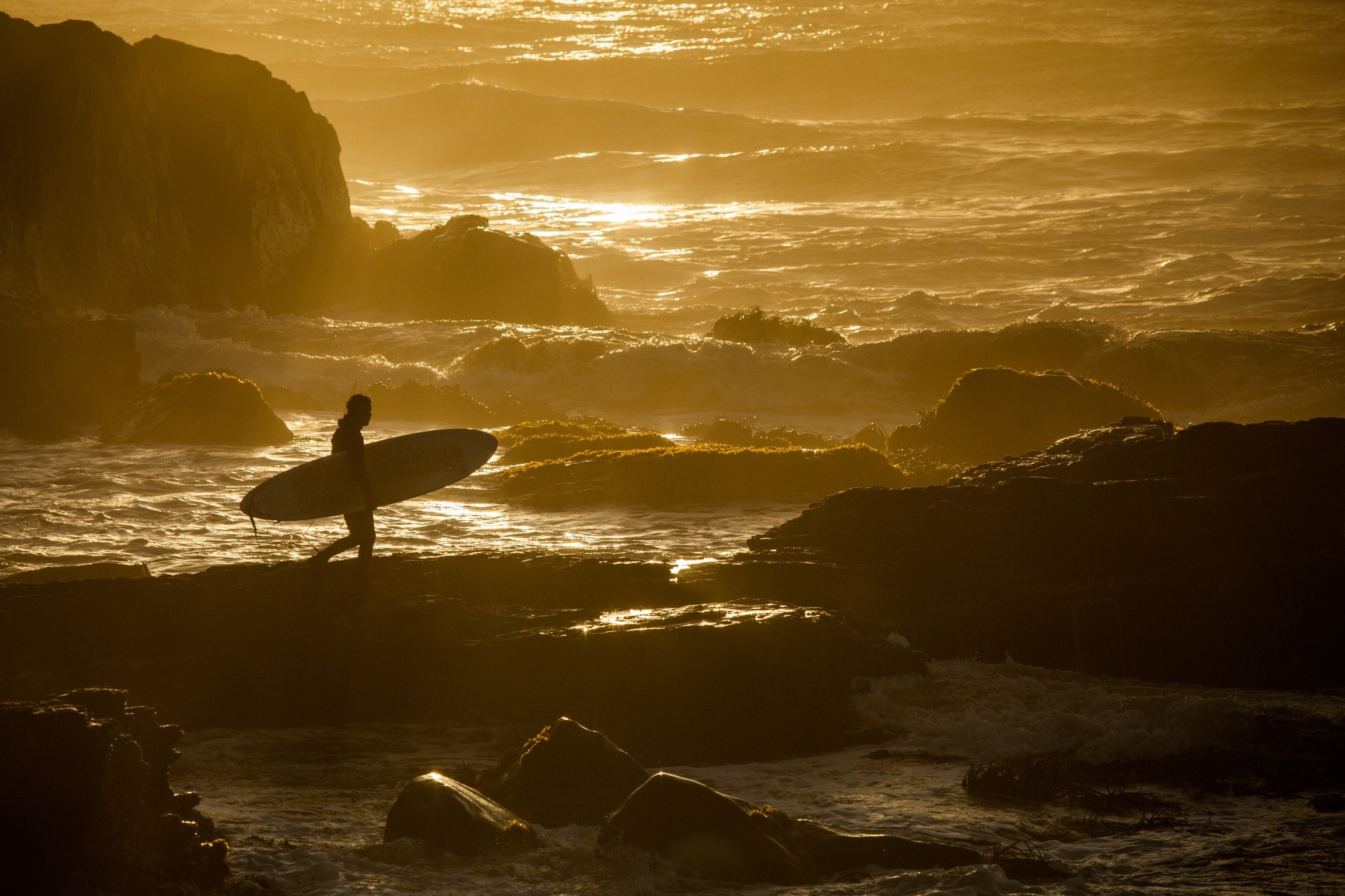 LANDSCAPE. Portrait and business photographer in Moscow Andrey Nikolsky