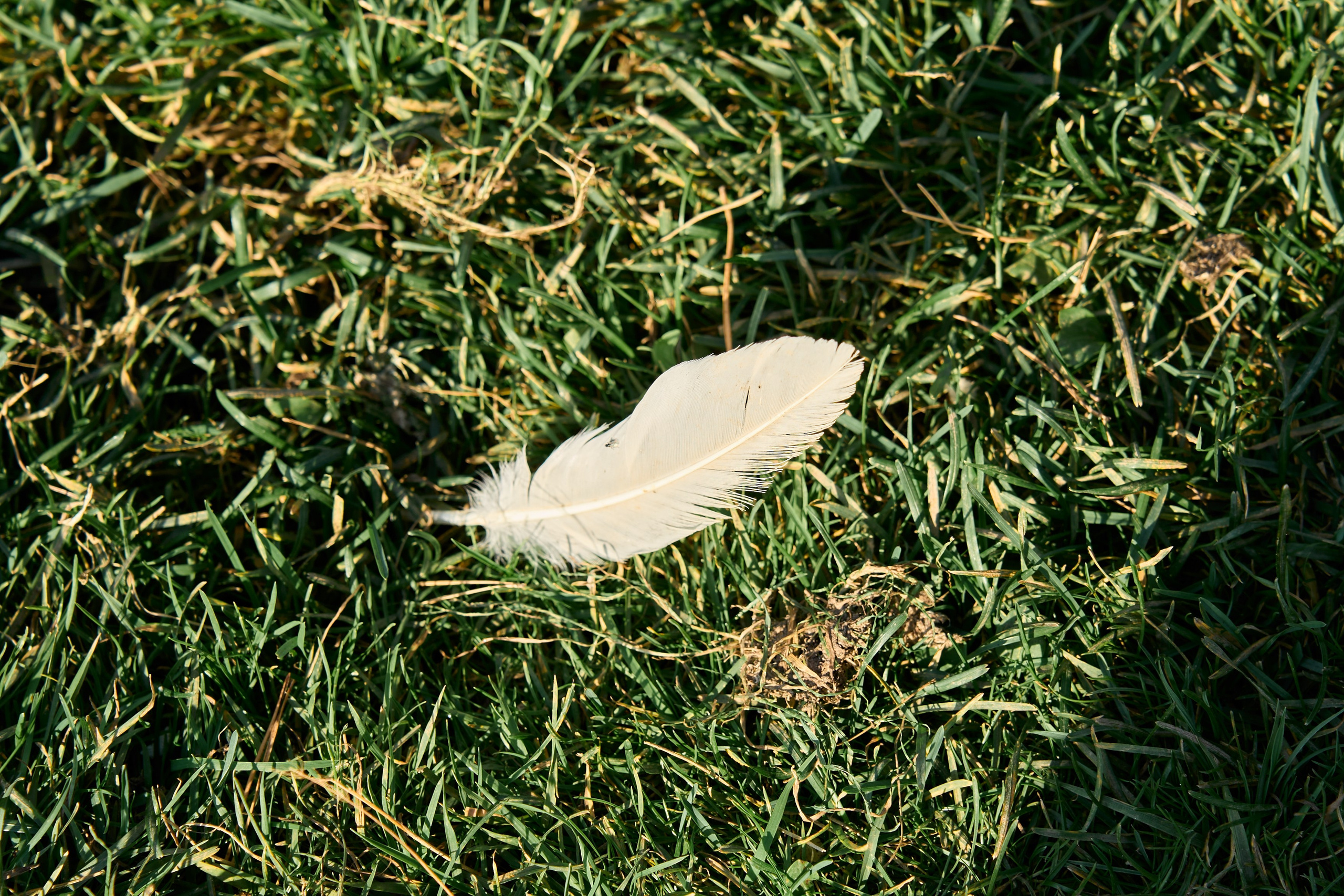 День Рождения Кати. Елизавета Мальгина, фотограф в Москве