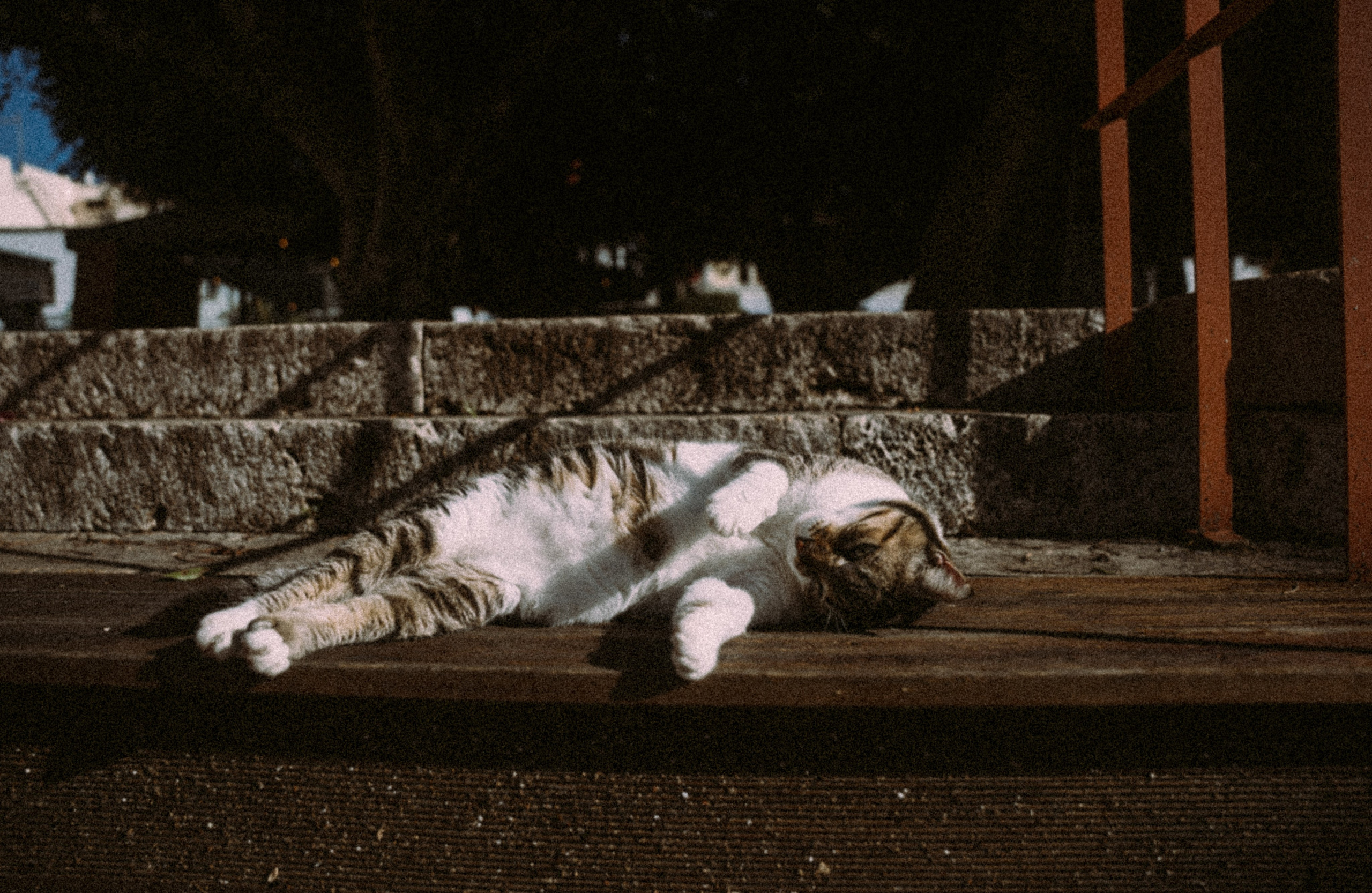 Терма Бич, Кос 🇬🇷. Anita_photo