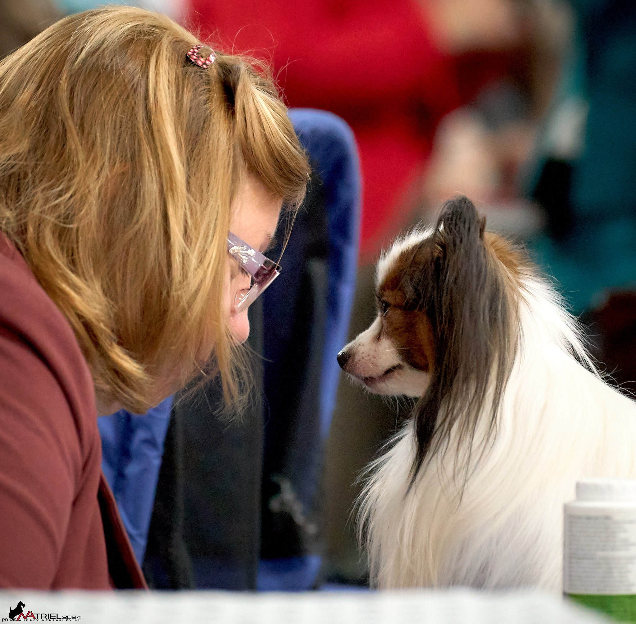 Съемка на выставке в Сфере