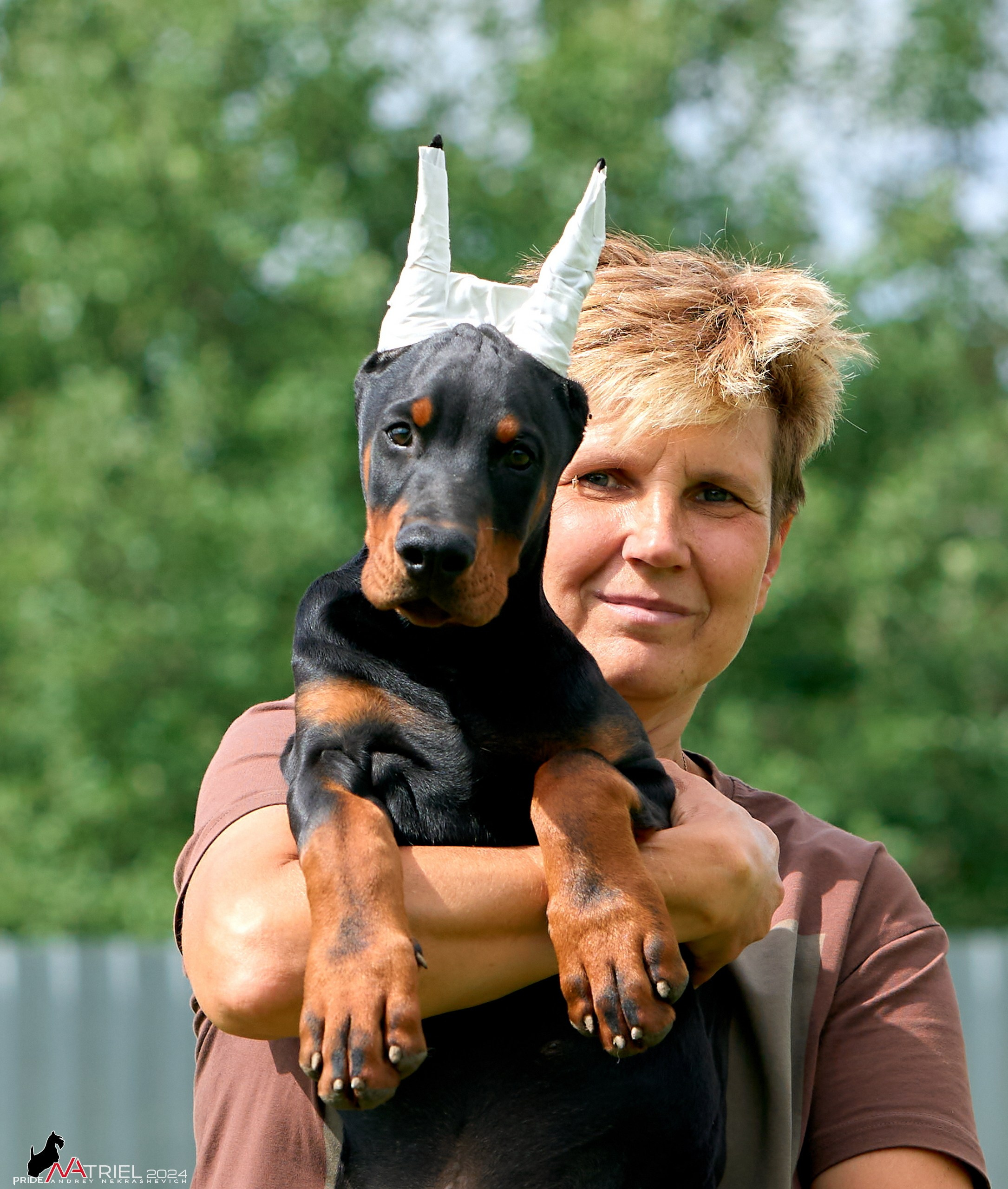 Съемка щенков доберманы