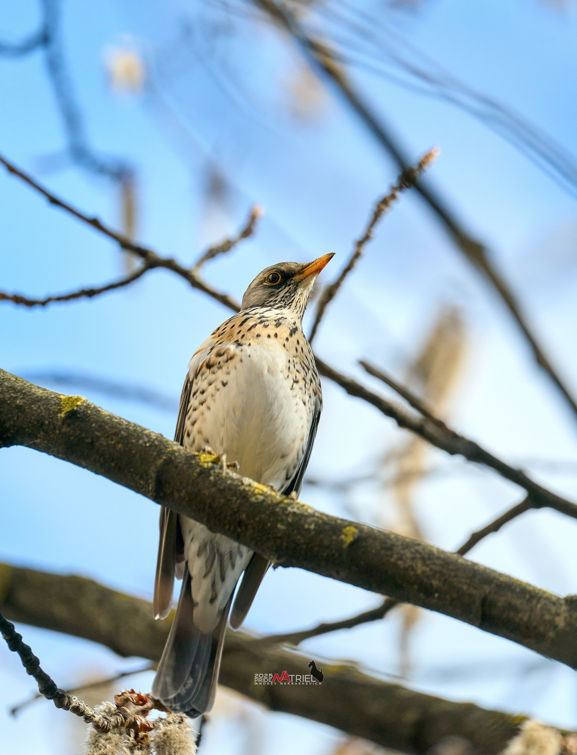 Природа в апреле