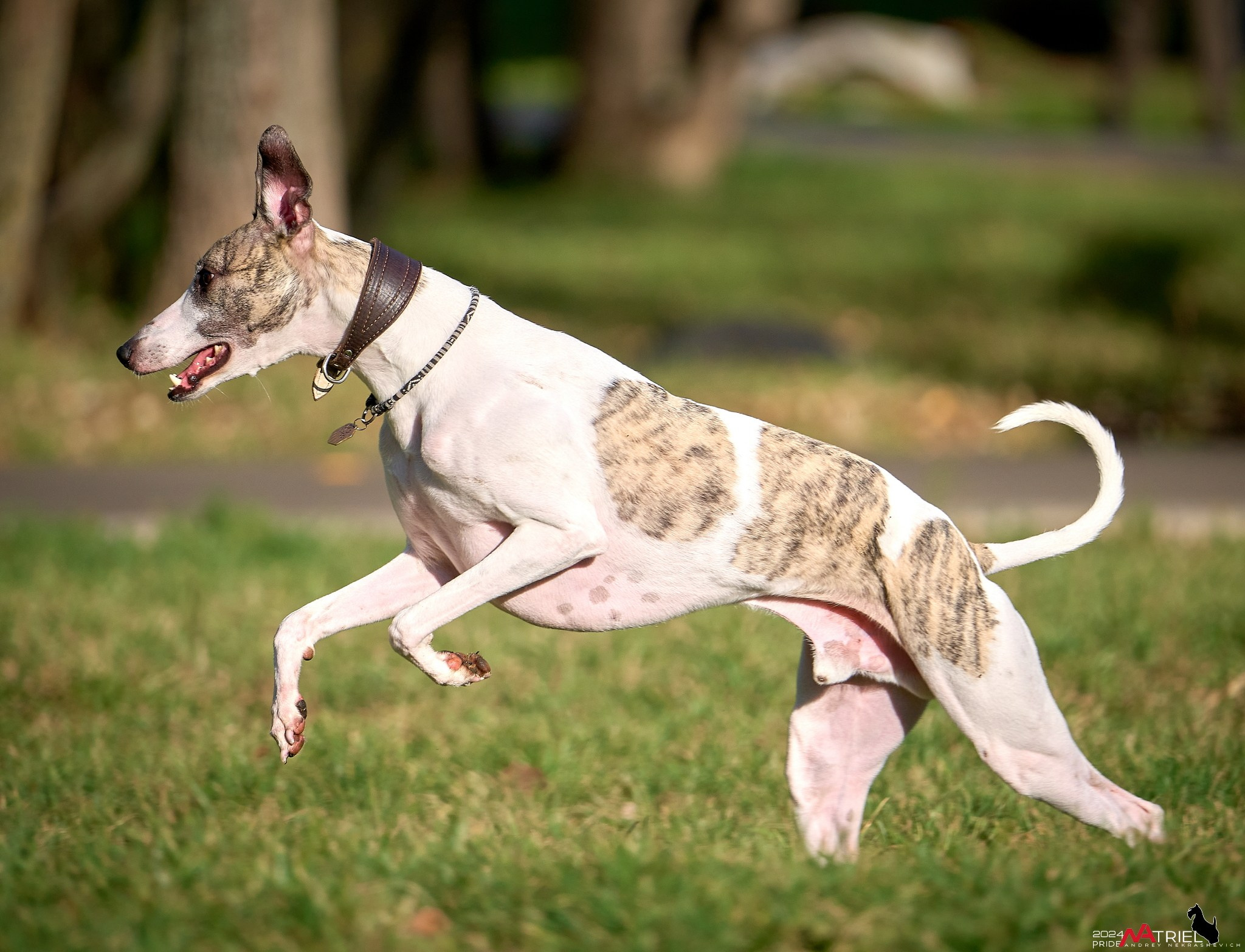 Фотопрогулка "вокруг дома"