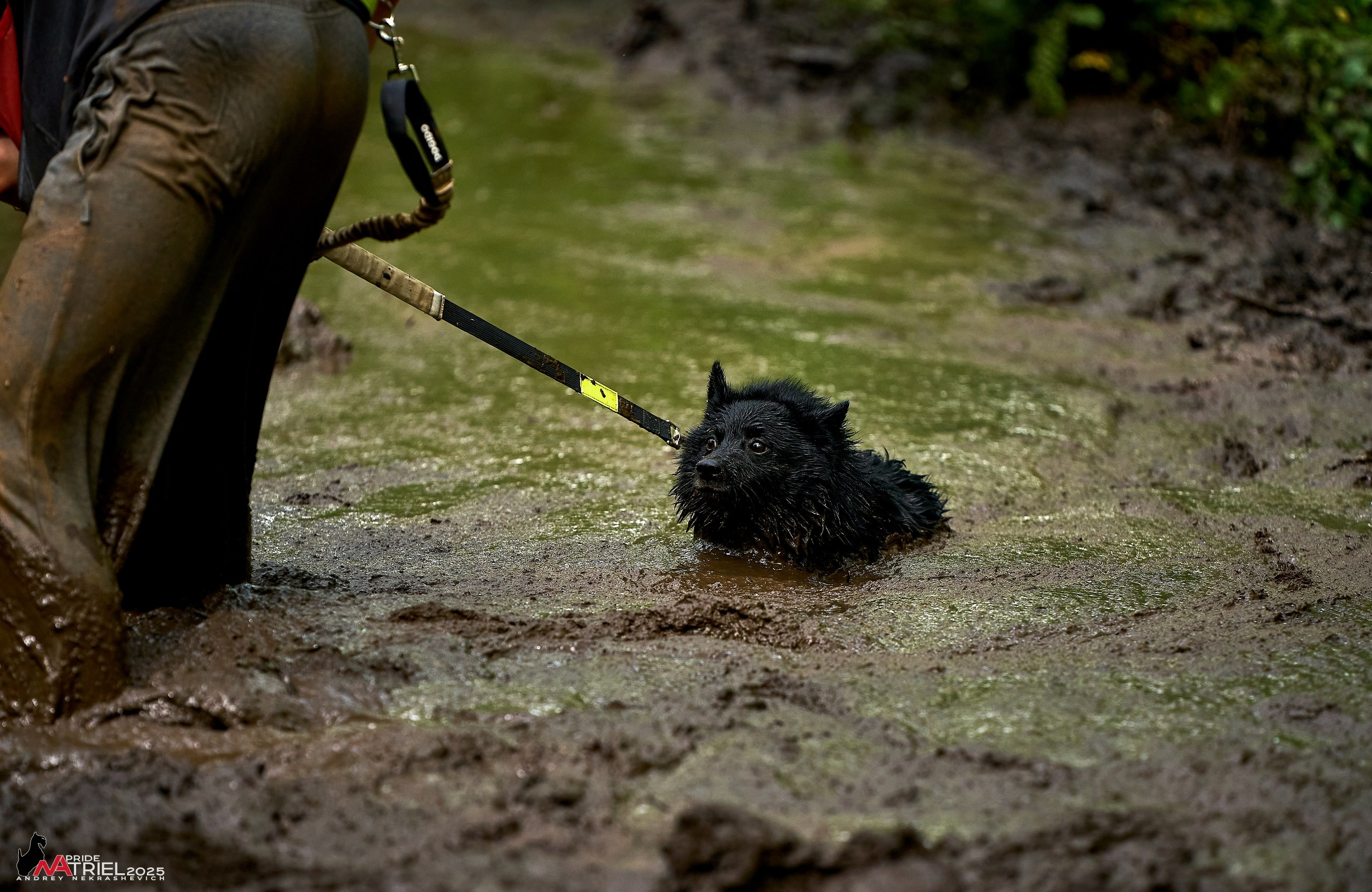 Russian Extreme Dog Trail — 2025