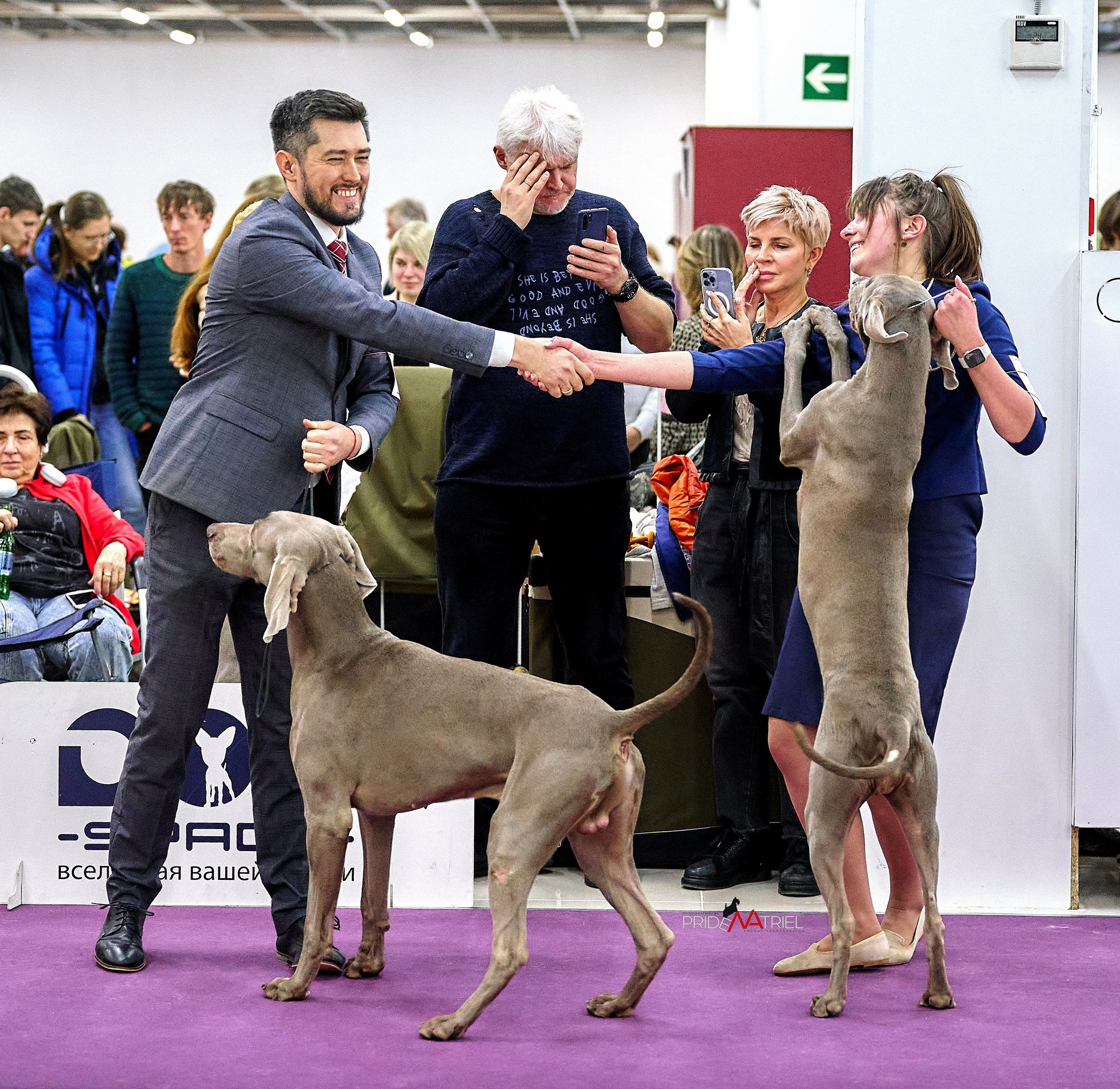 Призовые места — галерея NATRIEL