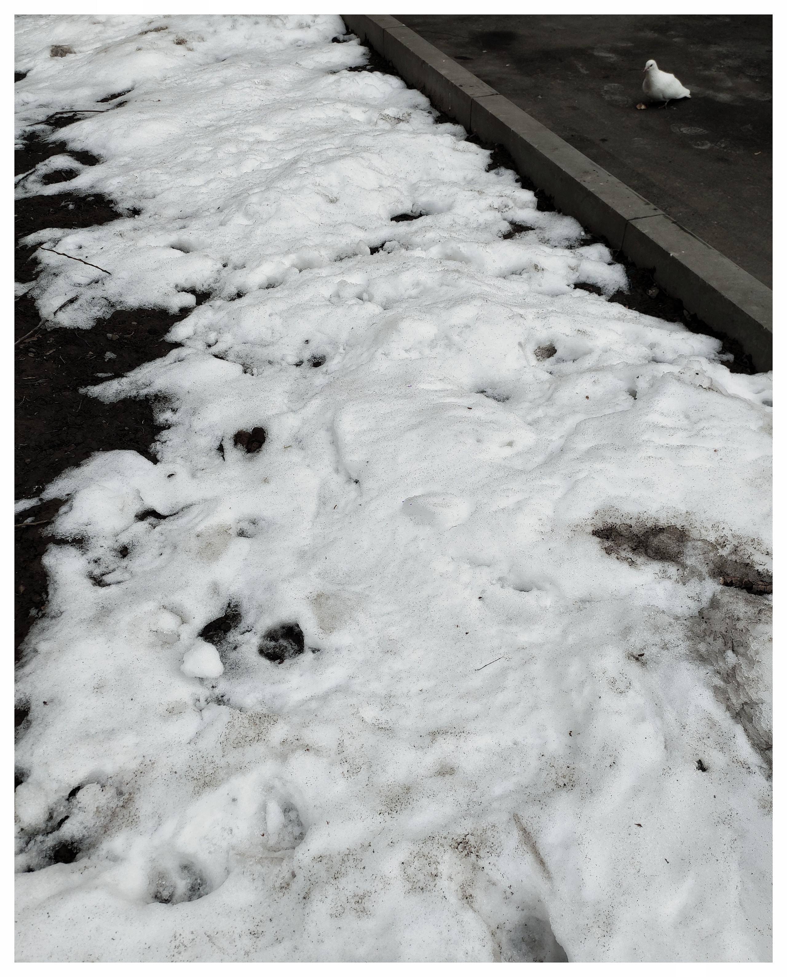 Мир повседневных Вещей. Репортажный и портретный фотограф, Влад Хафизов, Москва