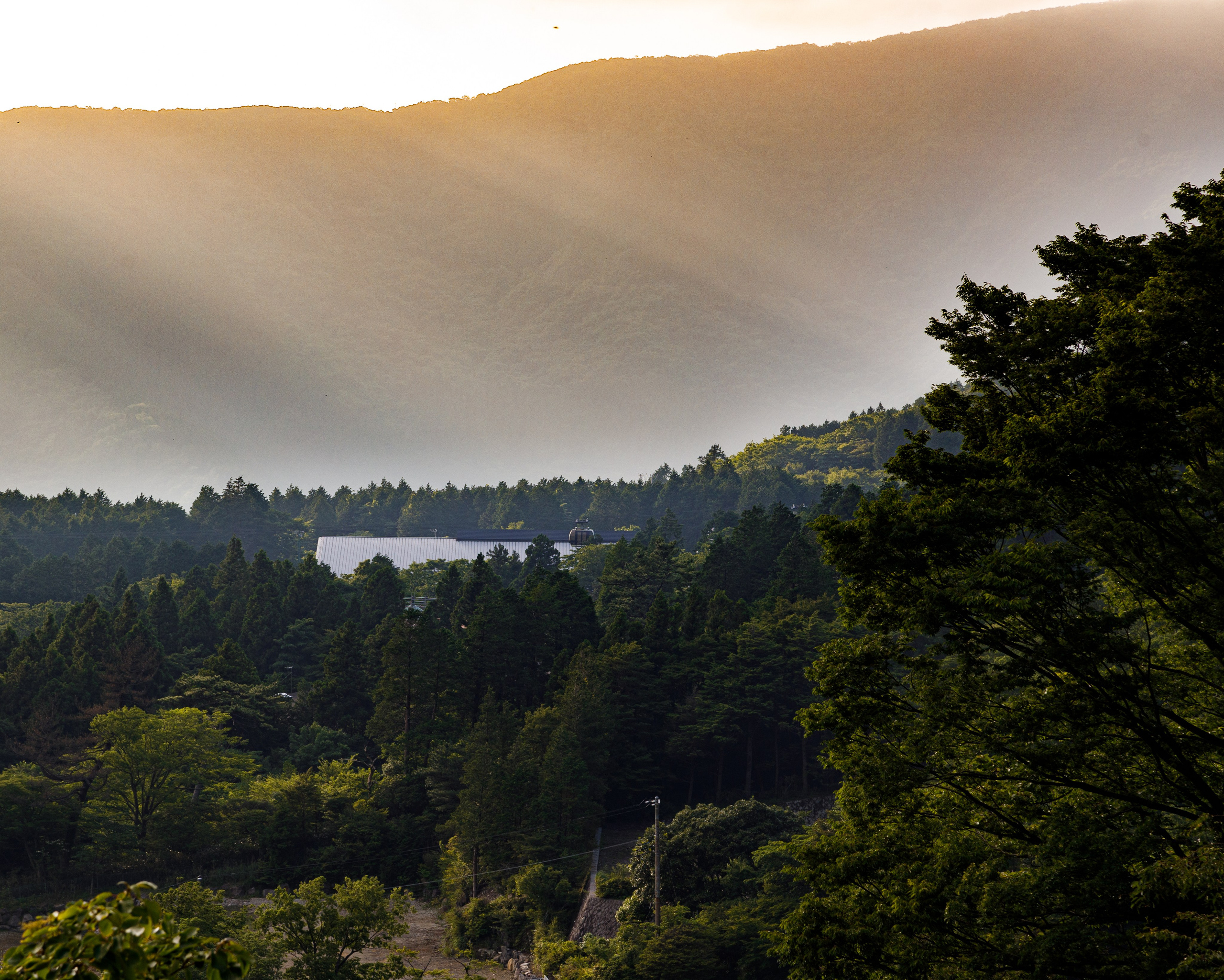 Япония. Фотограф Павел Подшивалов