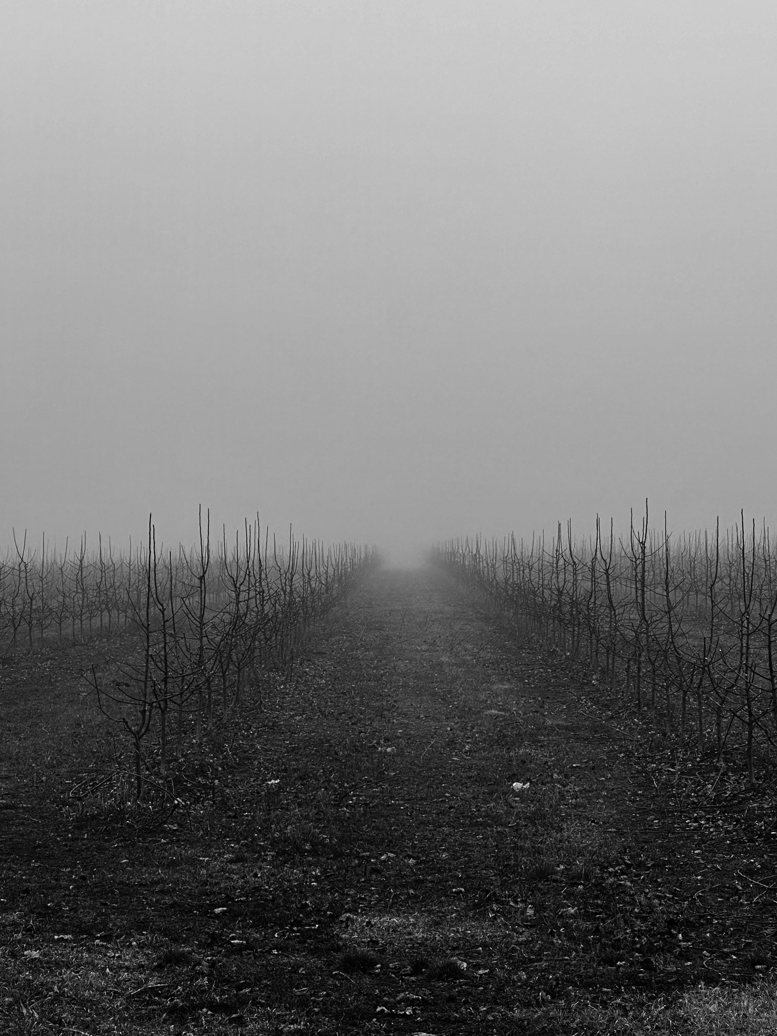 EXHIBITION. Репортажный и интерьерный фотограф, фотохудожник