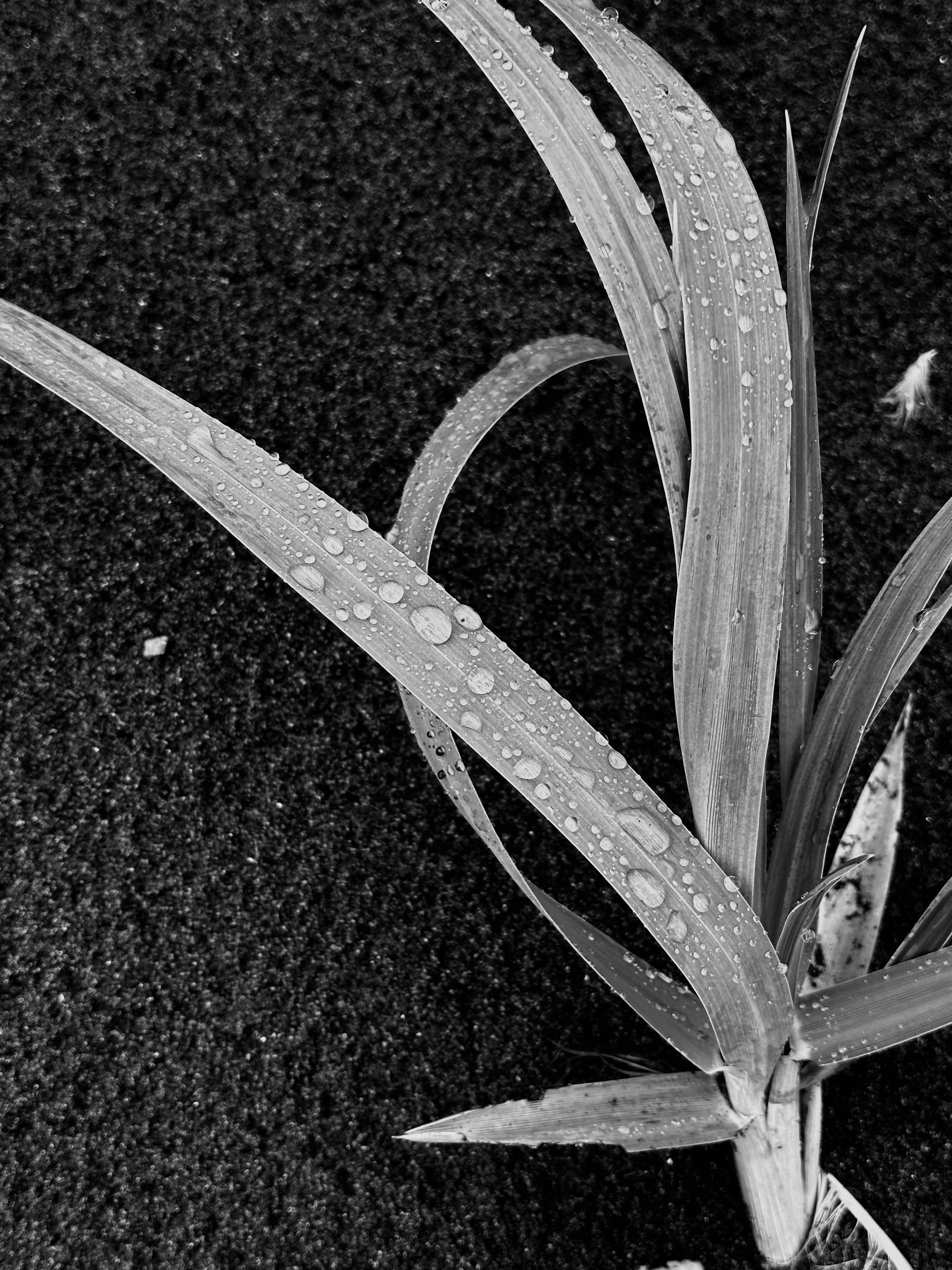 EXHIBITION. Репортажный и интерьерный фотограф, фотохудожник