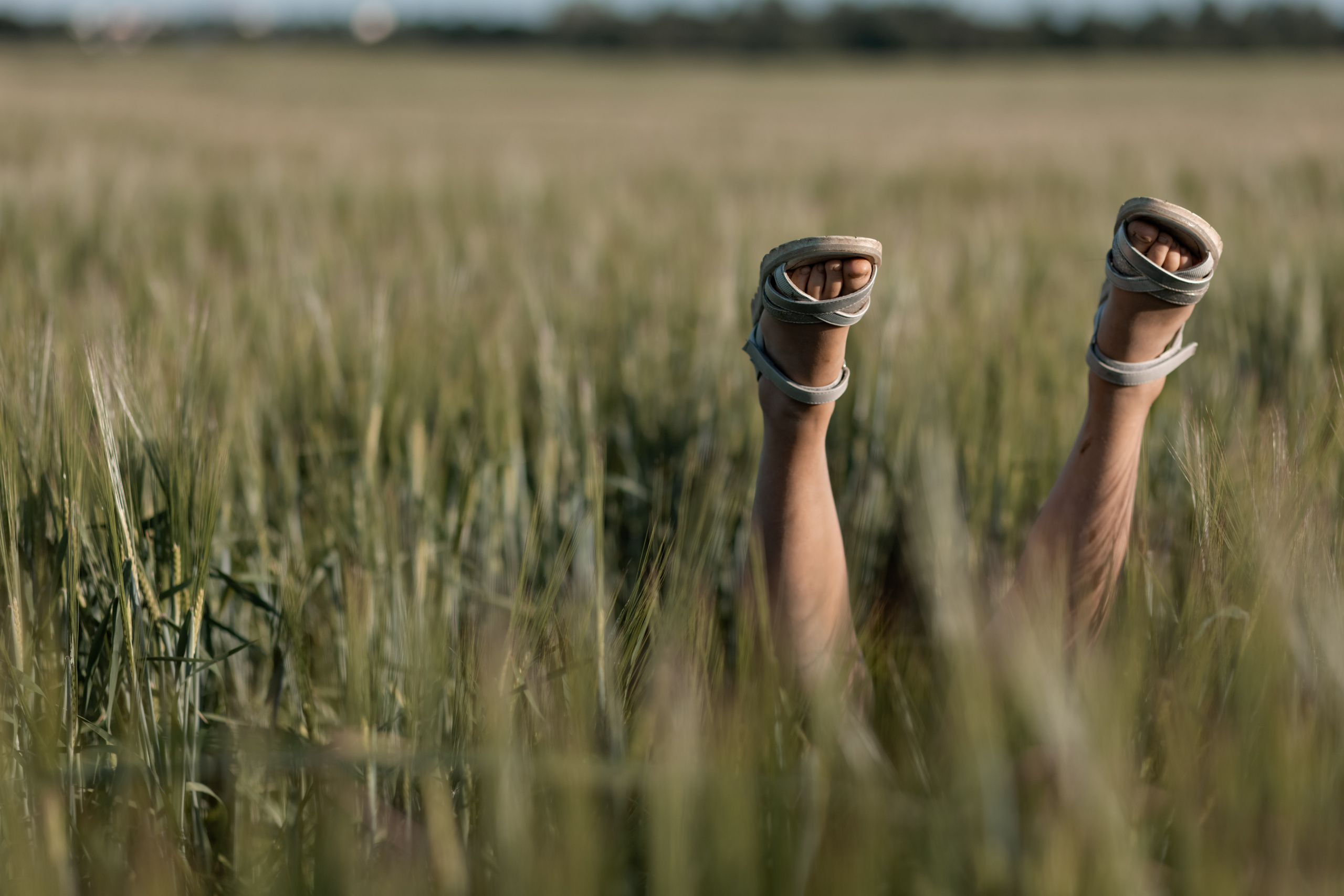Татьяна, Василий и Софа. Семейный и детский фотограф в Москве, Тамбовская Ольга