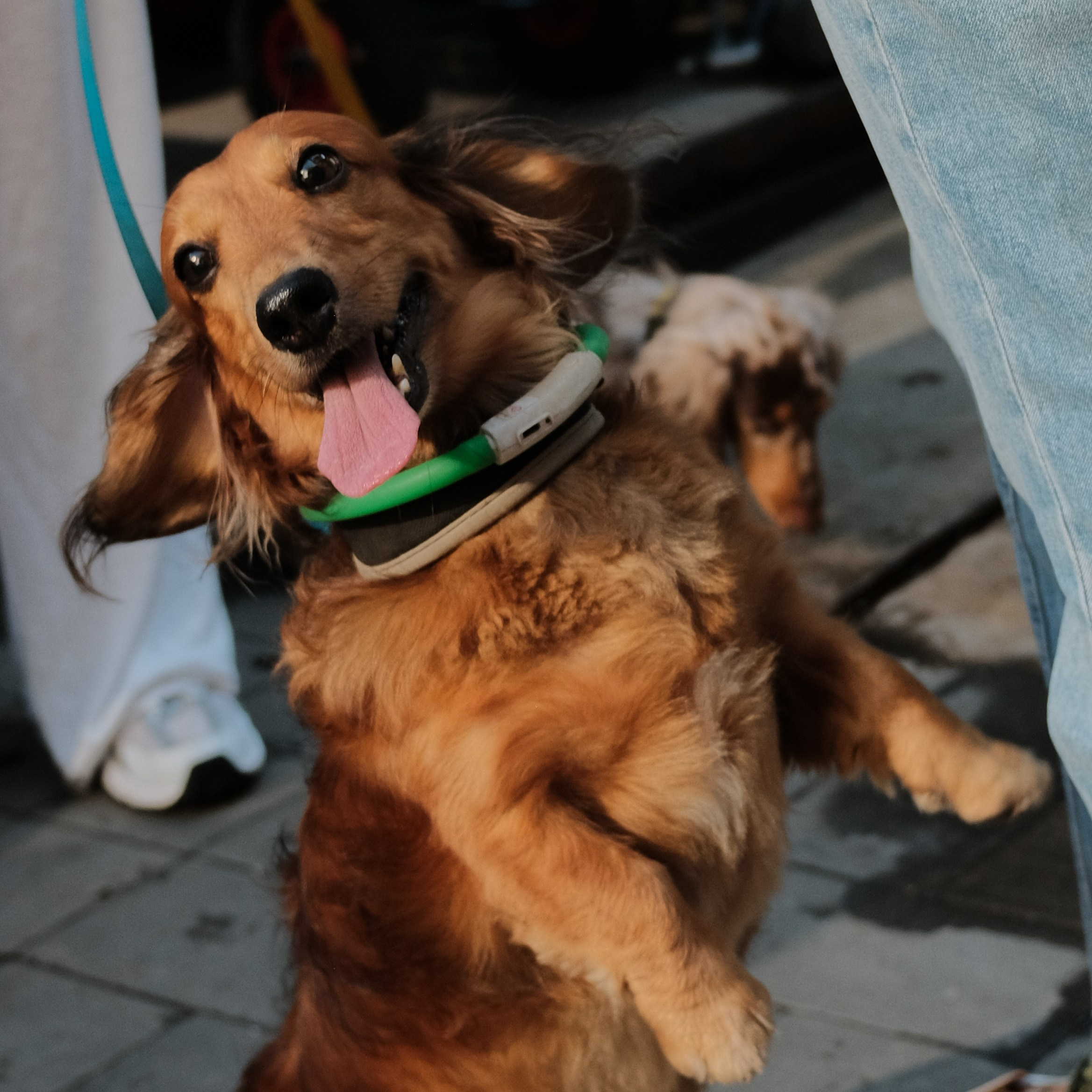 Rostov-on-Don. Creative travel photographer — Berg Daria