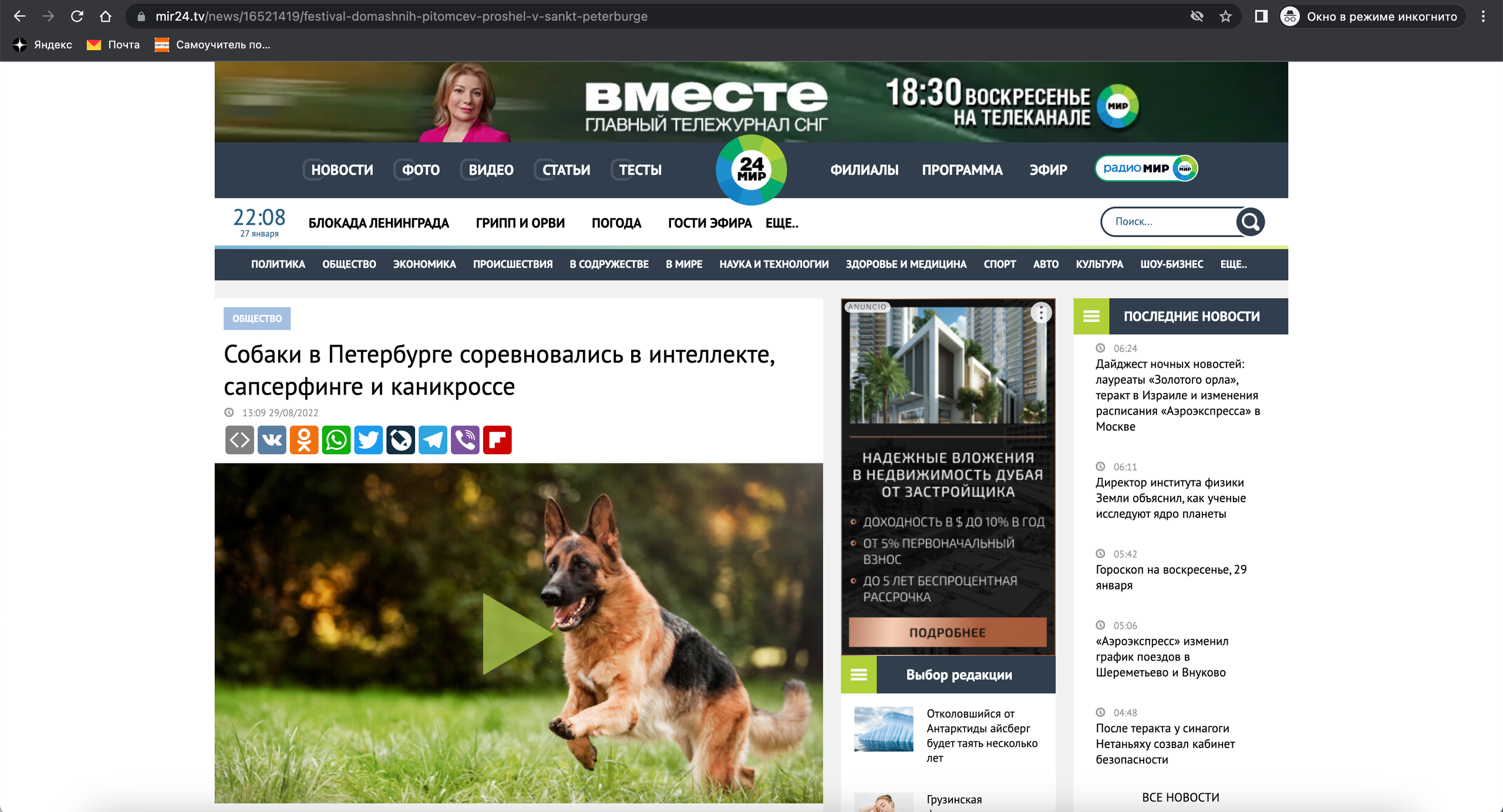 О фотографе TitAnya. Фотограф собак, фотограф-анималист Аня Титова (Titanya). Москва