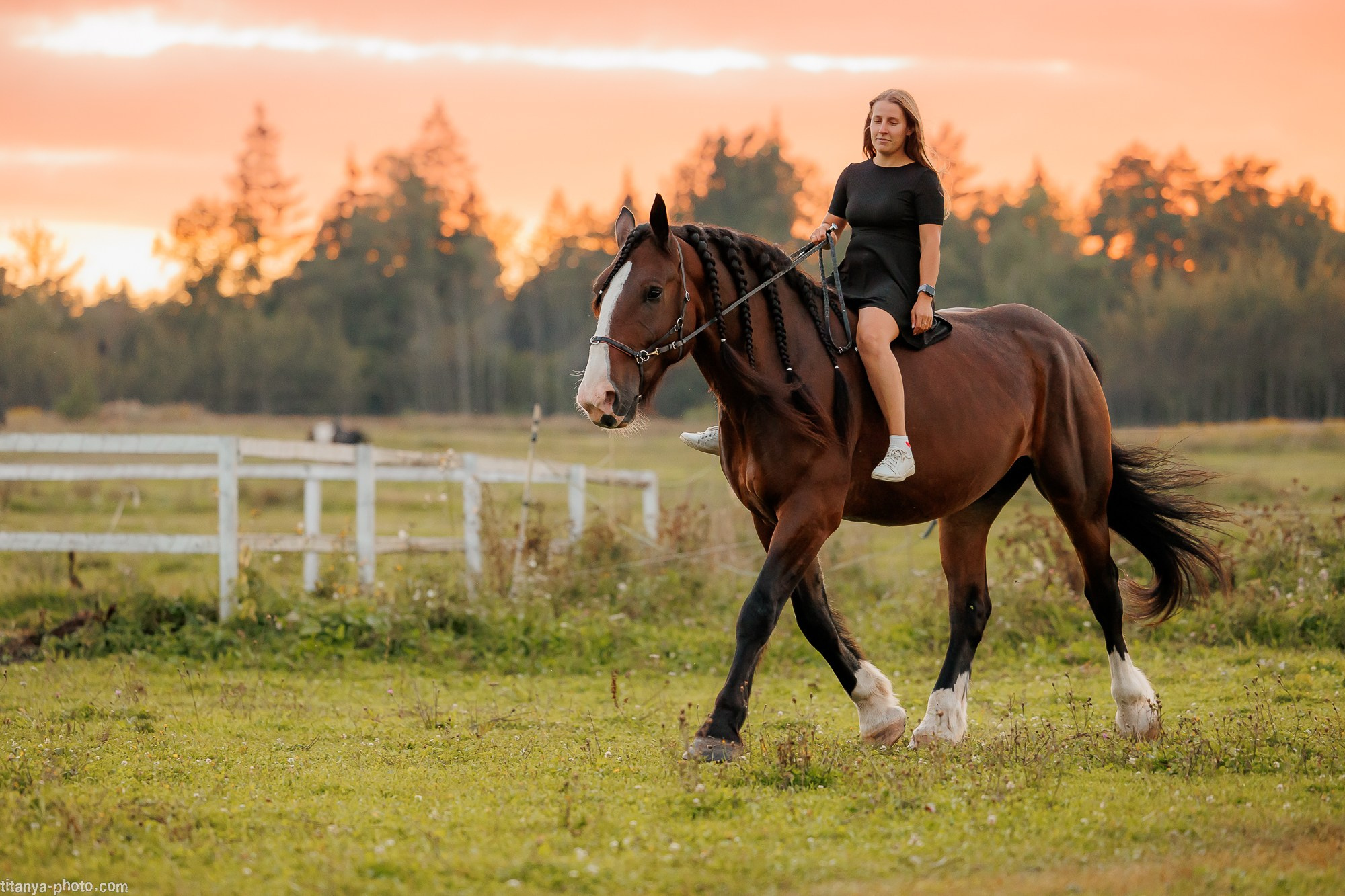 Закатная семейная фотосессия: про Настю и её дружную семью. Фотограф собак, фотограф-анималист Аня Титова (Titanya). Москва