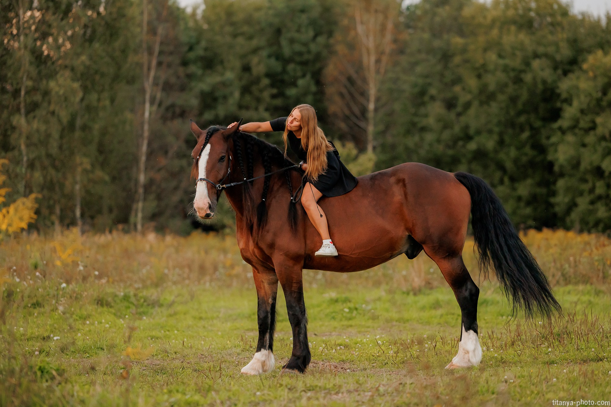 Закатная семейная фотосессия: про Настю и её дружную семью. Фотограф собак, фотограф-анималист Аня Титова (Titanya). Москва