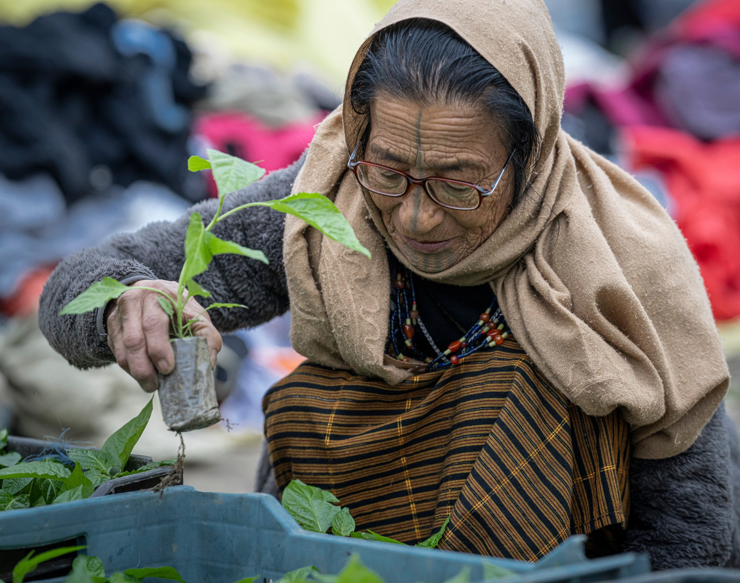 India travel. Фотограф Сергей Танков