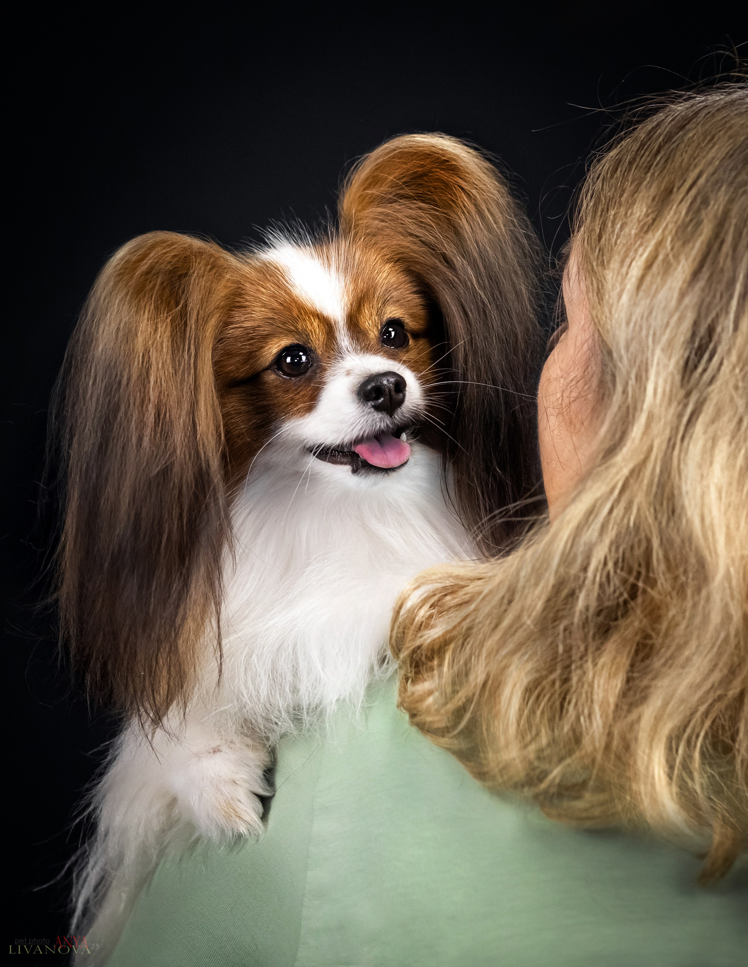 Флай. Фотограф анималист Аня Ливанова | Рыбинск