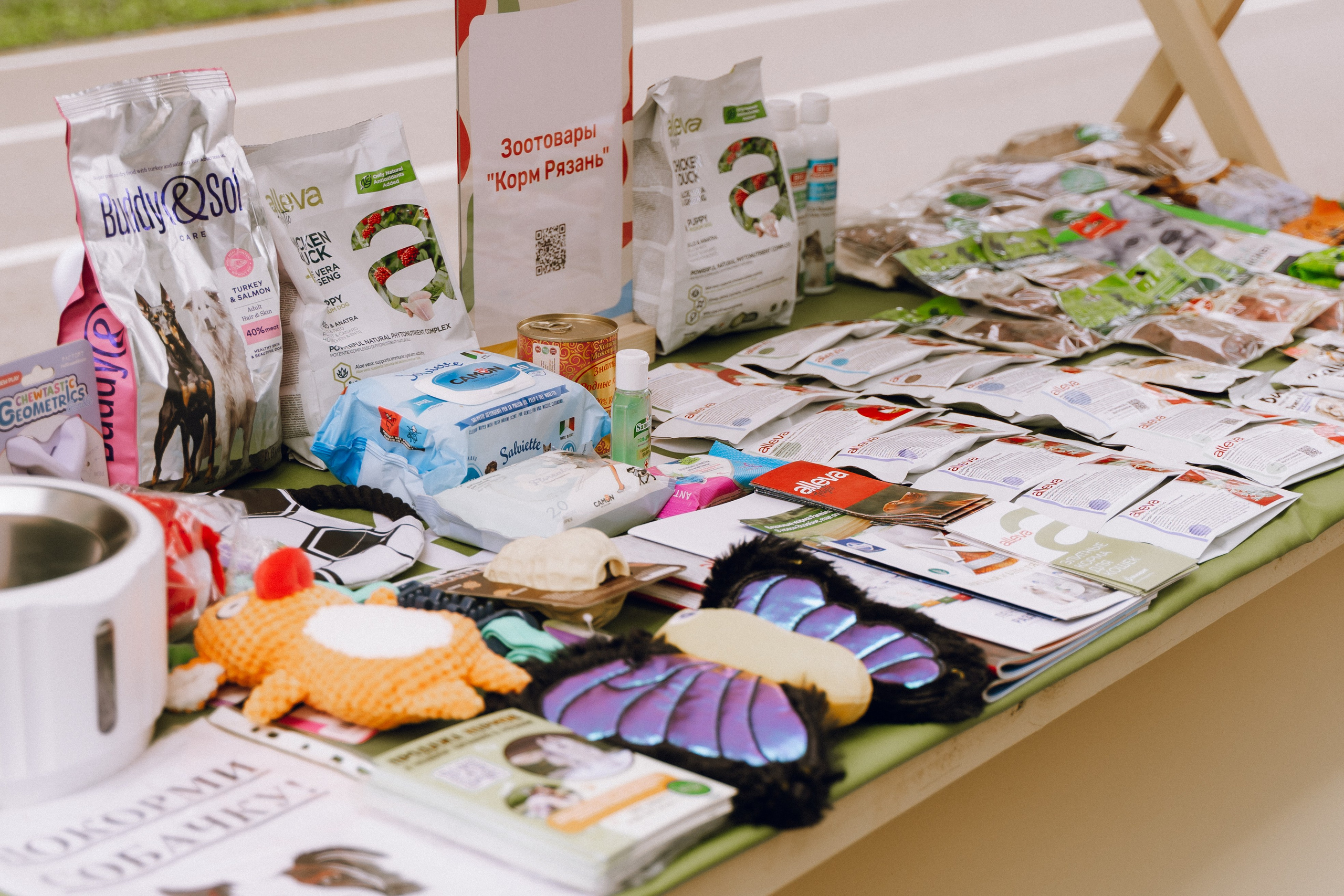 Площадка фестиваля «Мампус и его друзья» в Лесопарке 2025. Фотограф Надежда Погребняк | Рязань | Москва