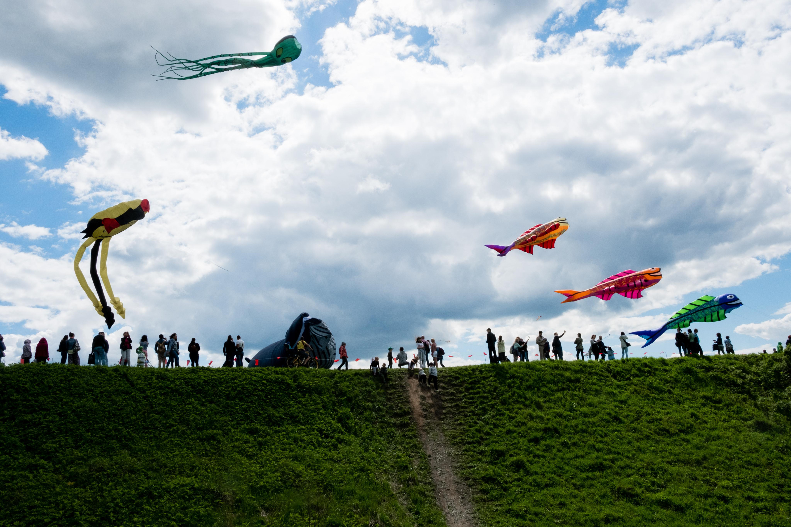 Случайный репортаж. Стрит, Арт фотограф Денис Карасев