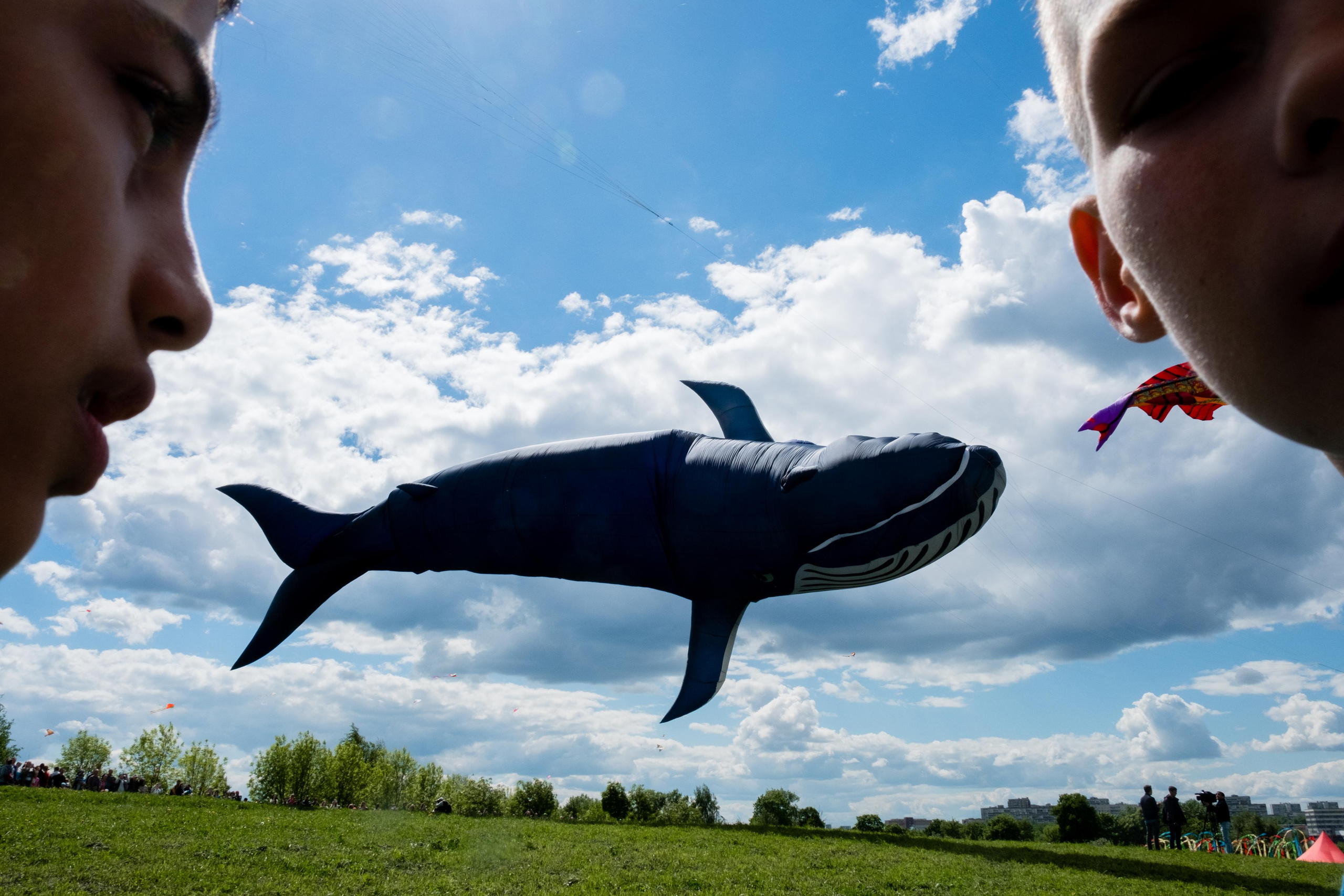 Случайный репортаж. Стрит, Арт фотограф Денис Карасев