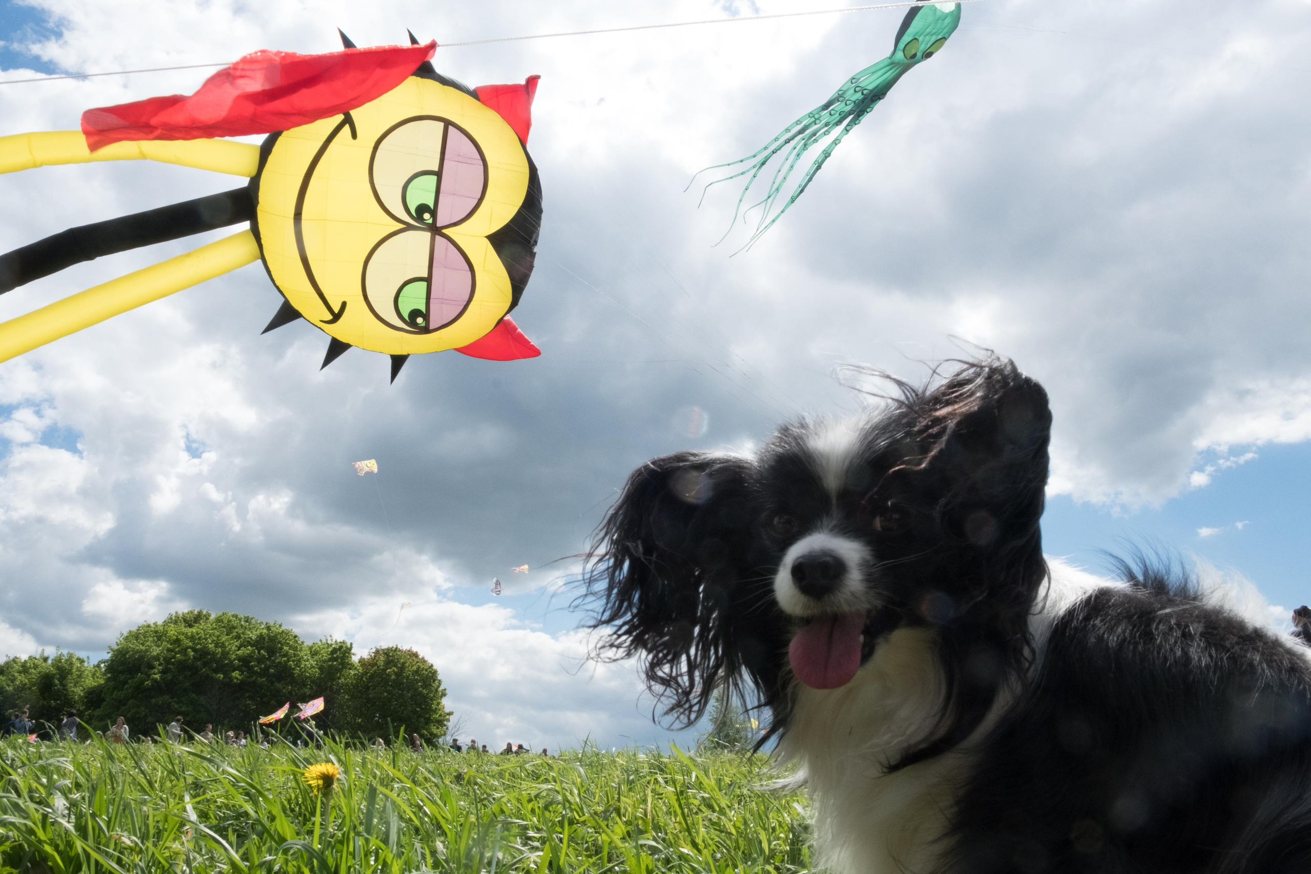 Случайный репортаж. Стрит, Арт фотограф Денис Карасев