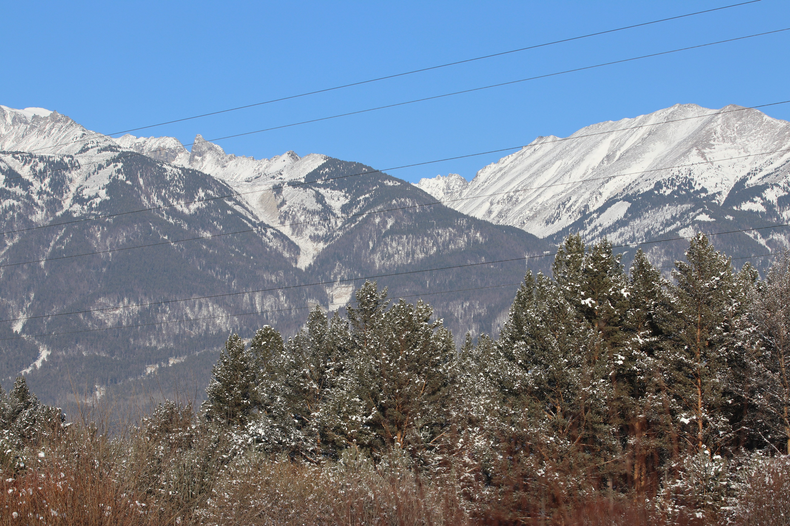 Аршан. Январь 2022. Путешественник-фотограф из Санкт-Петербурга Татьяна Свистулина