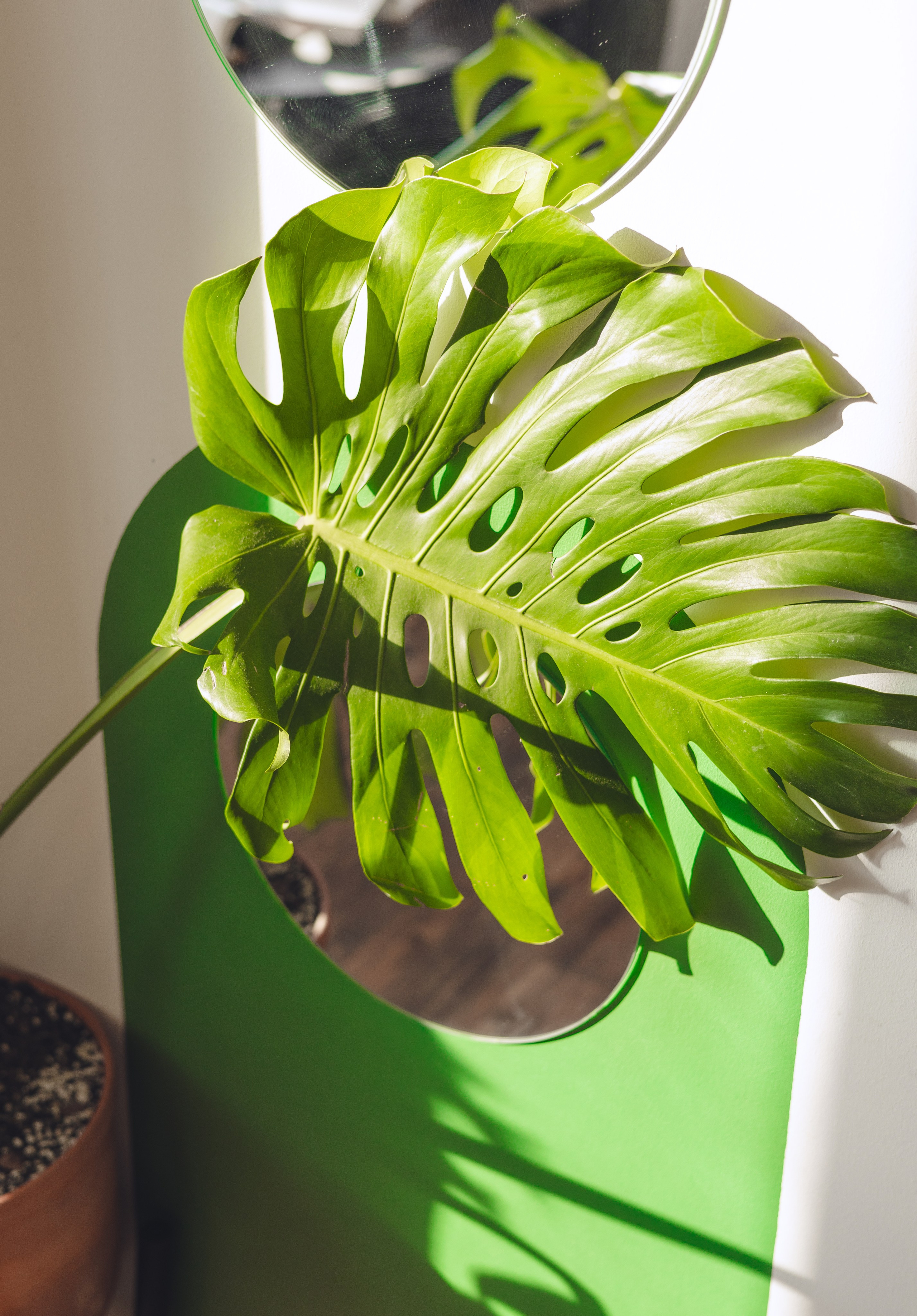 Предметная съемка для бизнеса. Фотограф в Санкт-Петербурге Осокина Елизавета