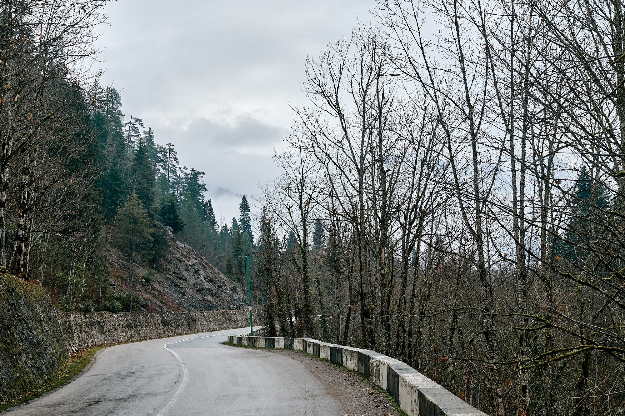 Озеро Рица, Абхазия. Декабрь 2024. Фотографии отовсюду и обо всем