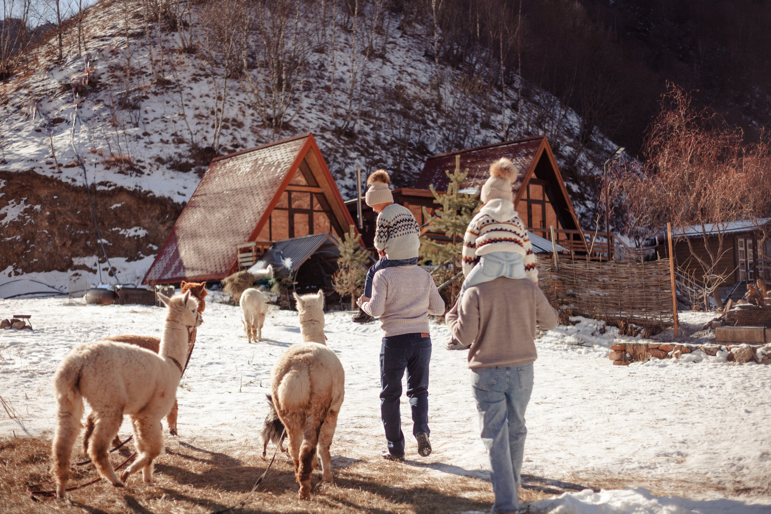фотосессия в горах· фотограф в горах кавказа· семейная фотосессия в горах· свадебная фотосессия в горах· фотосессия на эльбрусе· фототур в горы· фотограф на природе· фотосъемка в стиле натура· портрет на природе· выездная фотосессия,свадьба в горах,свадебный фотограф в горах,фотограф Домбай,фотограф Архыз,фотограф Эльбрус,фототур в горы,фототур Кавказ