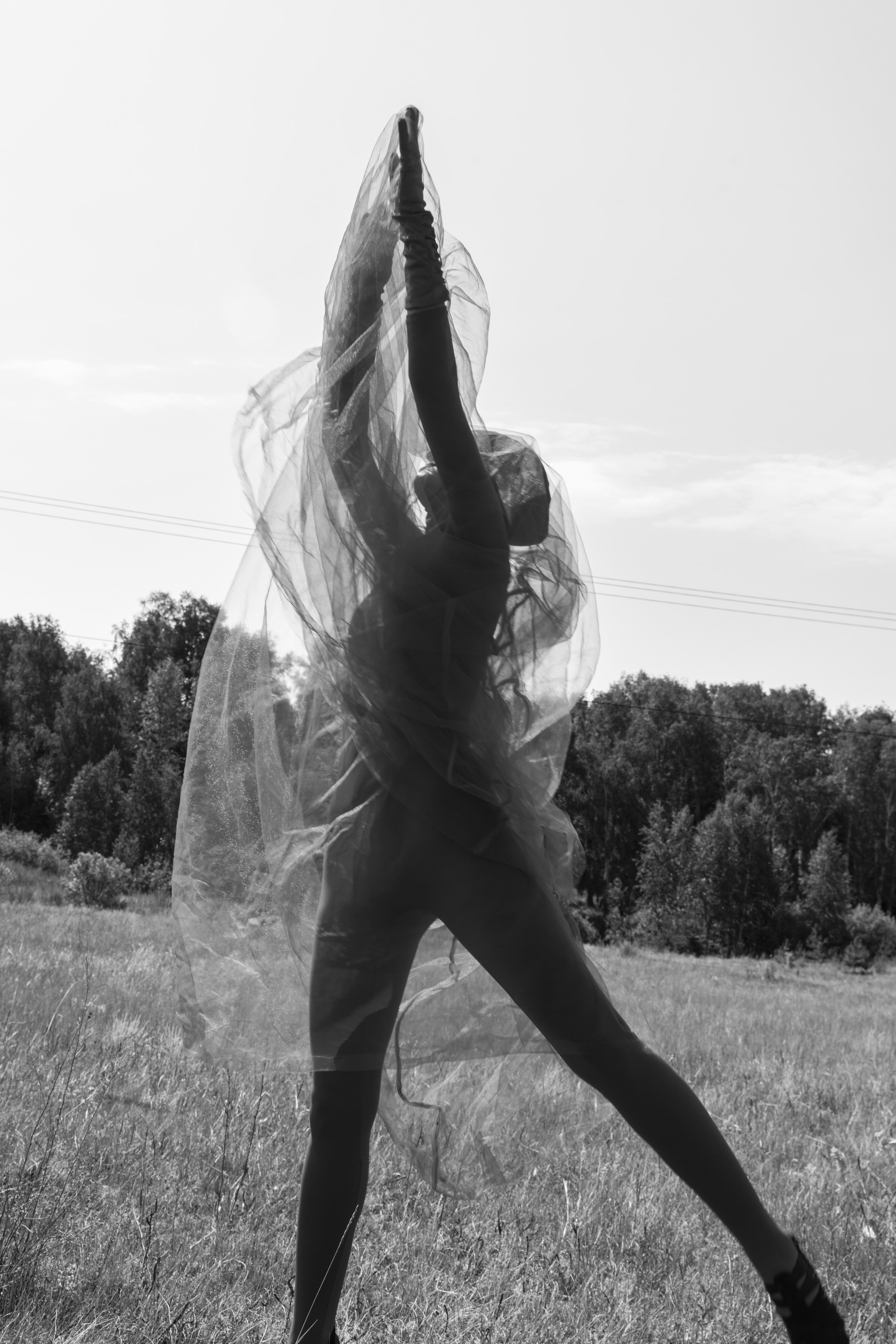 TERRA NOSTRA. Yulia Yurchevskaya | Art Director & Visual Visionary