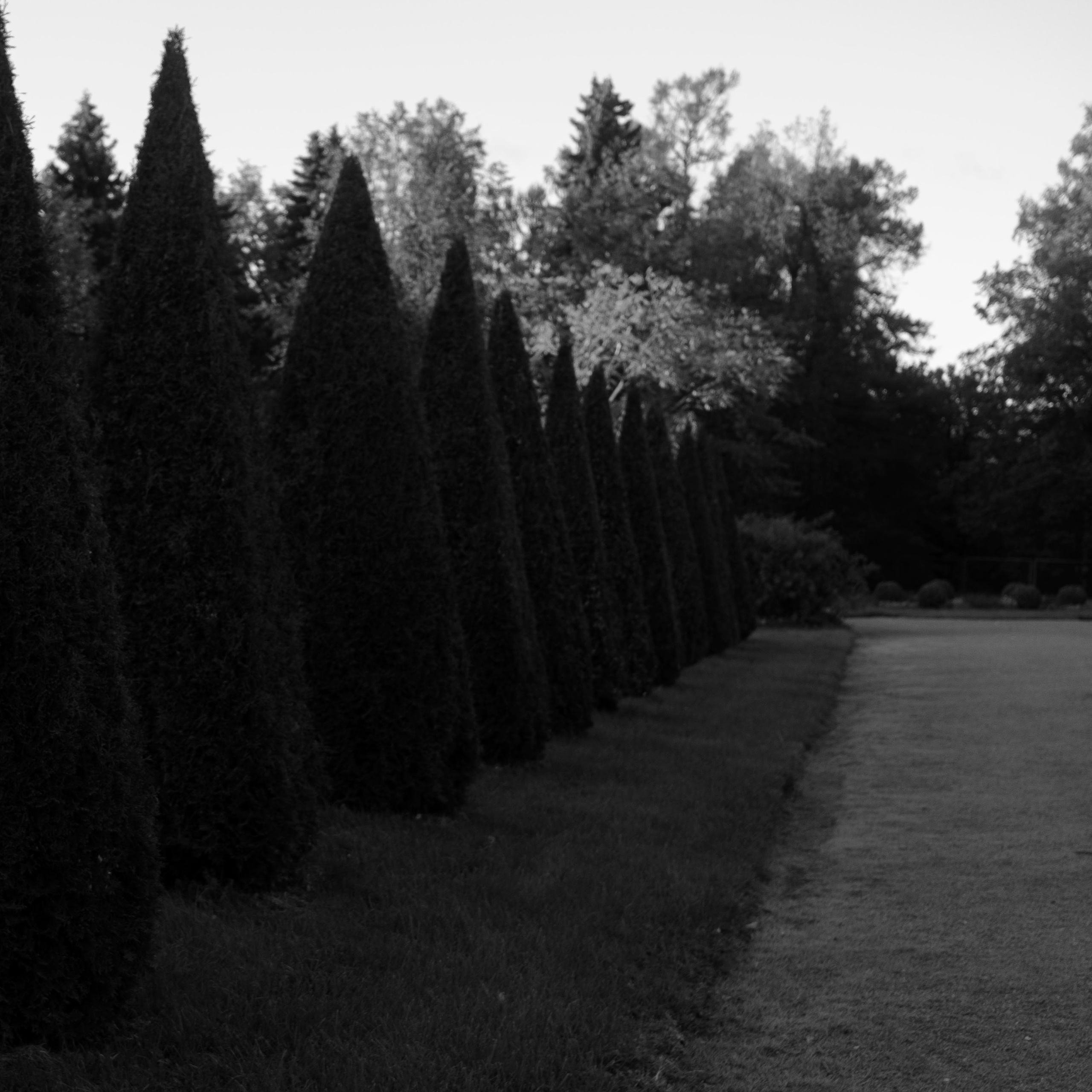 Питер, 2021. Портретный фотограф в Москве Евгения Яковенко