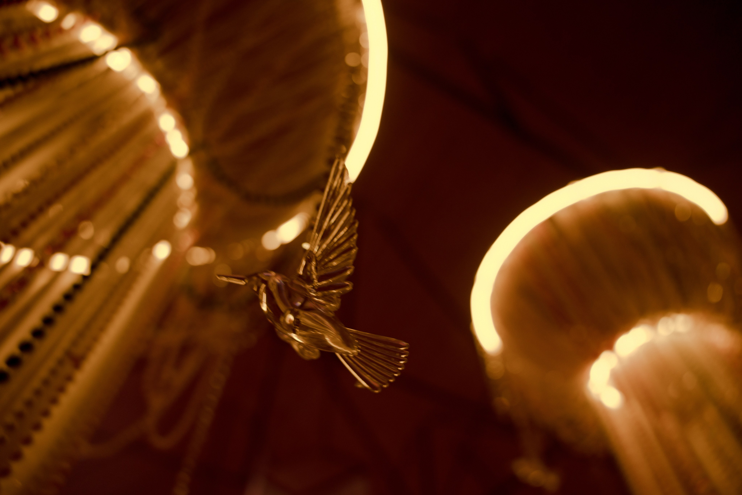 Сашка & Даня. Wed Photographers 📷 Saint Petersburg