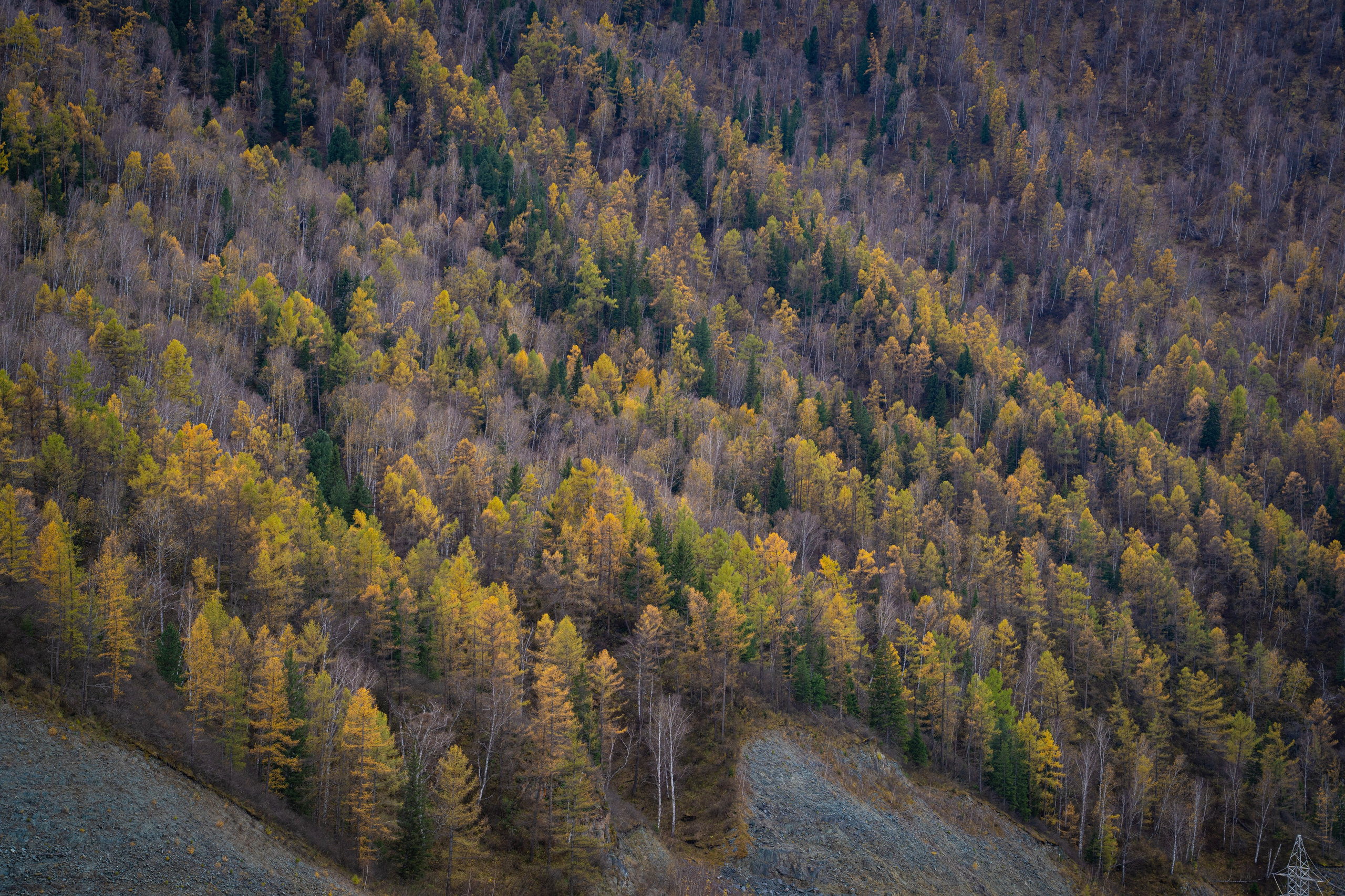 Чуйский тракт. Фотографии Тиграна Худавердяна