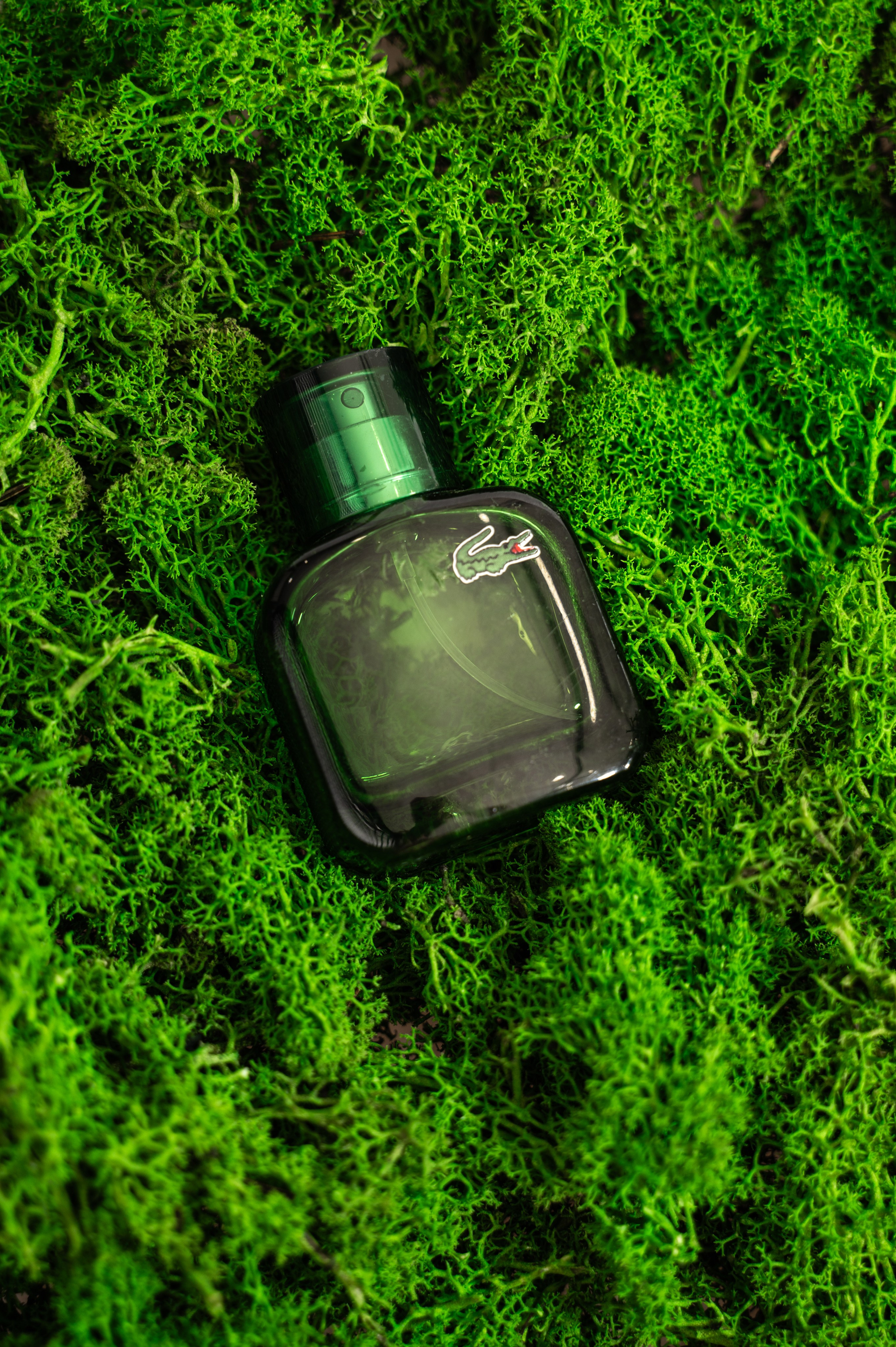 Предметная съемка. Журавлёва Елена