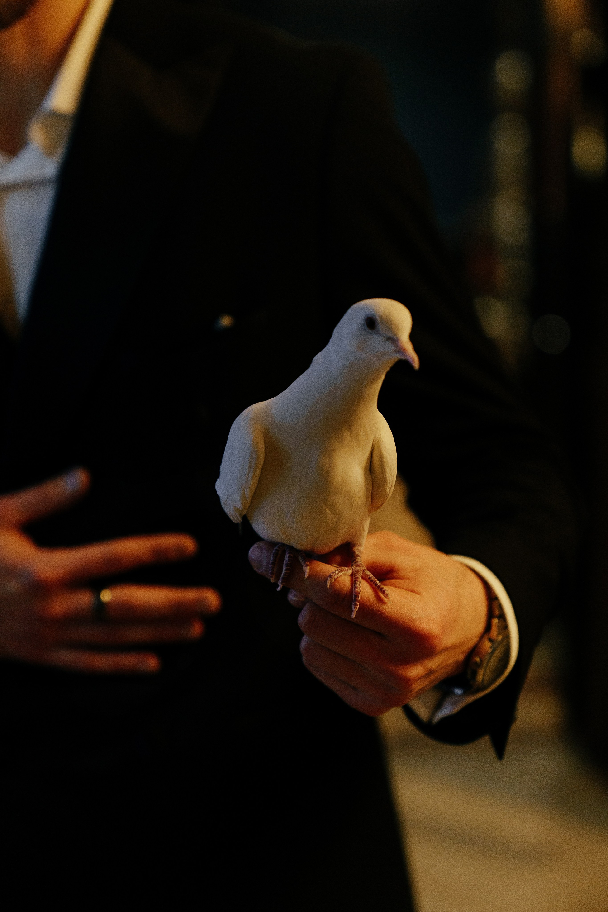 Годовщина свадьбы | 25 лет. Свадебный и репортажный фотограф Ростов-на-Дону Алексей Гуль