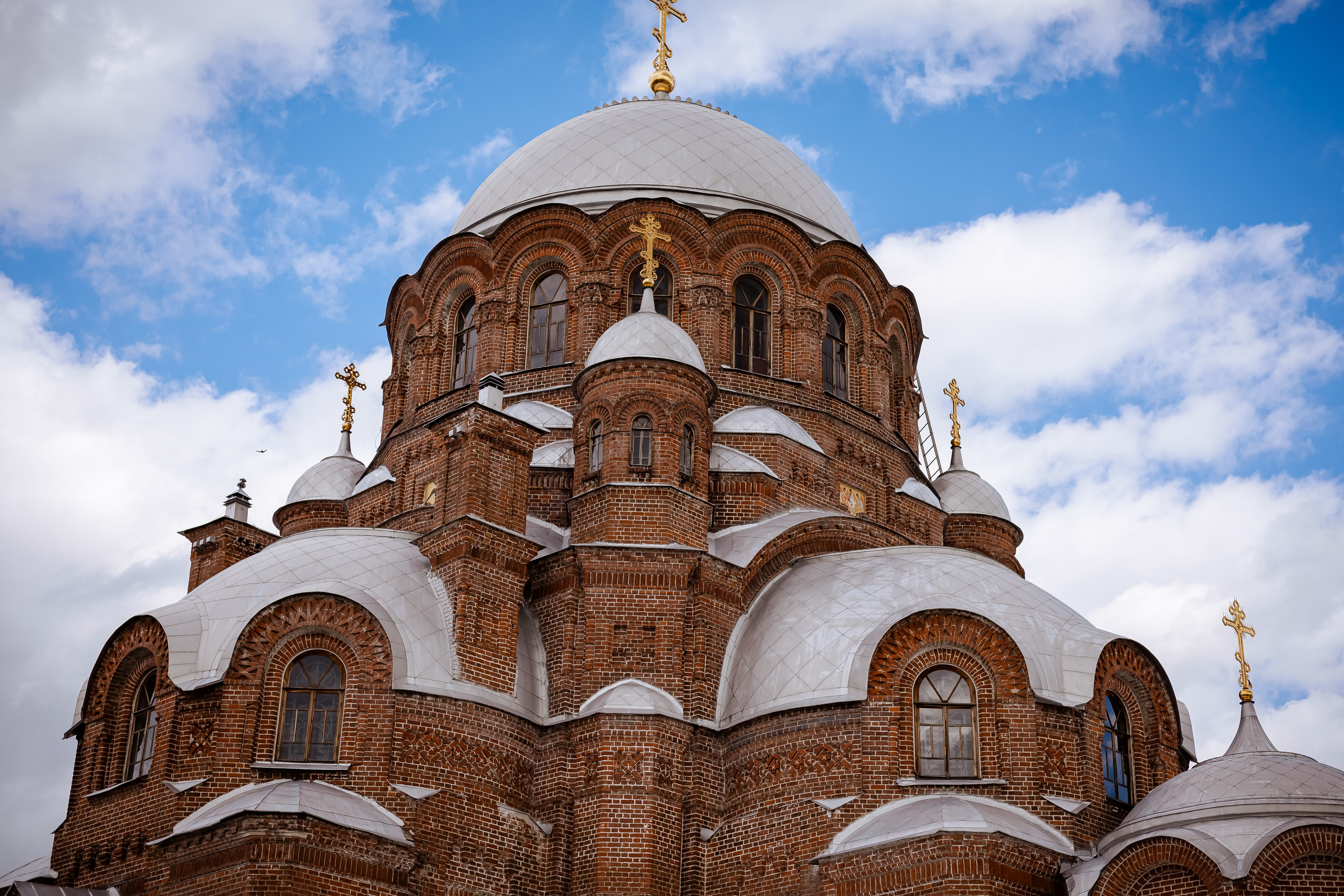 Фотосъемка собак, щенков, на выставках, фотограф анималист Россия воронеж. Питомник собак Акита, Хаски, Корги