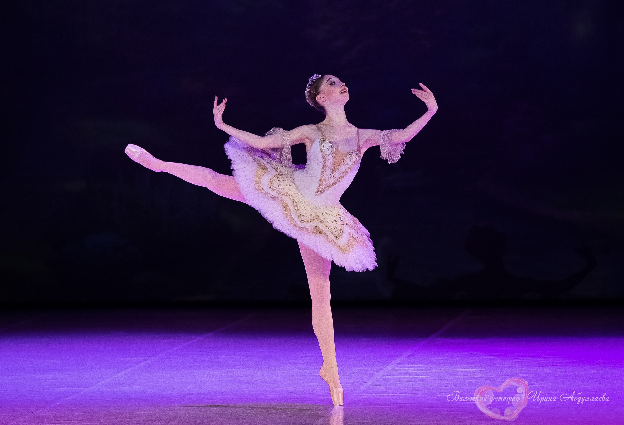 Хореографический колледж ЛЕДЯХ «Наставники»