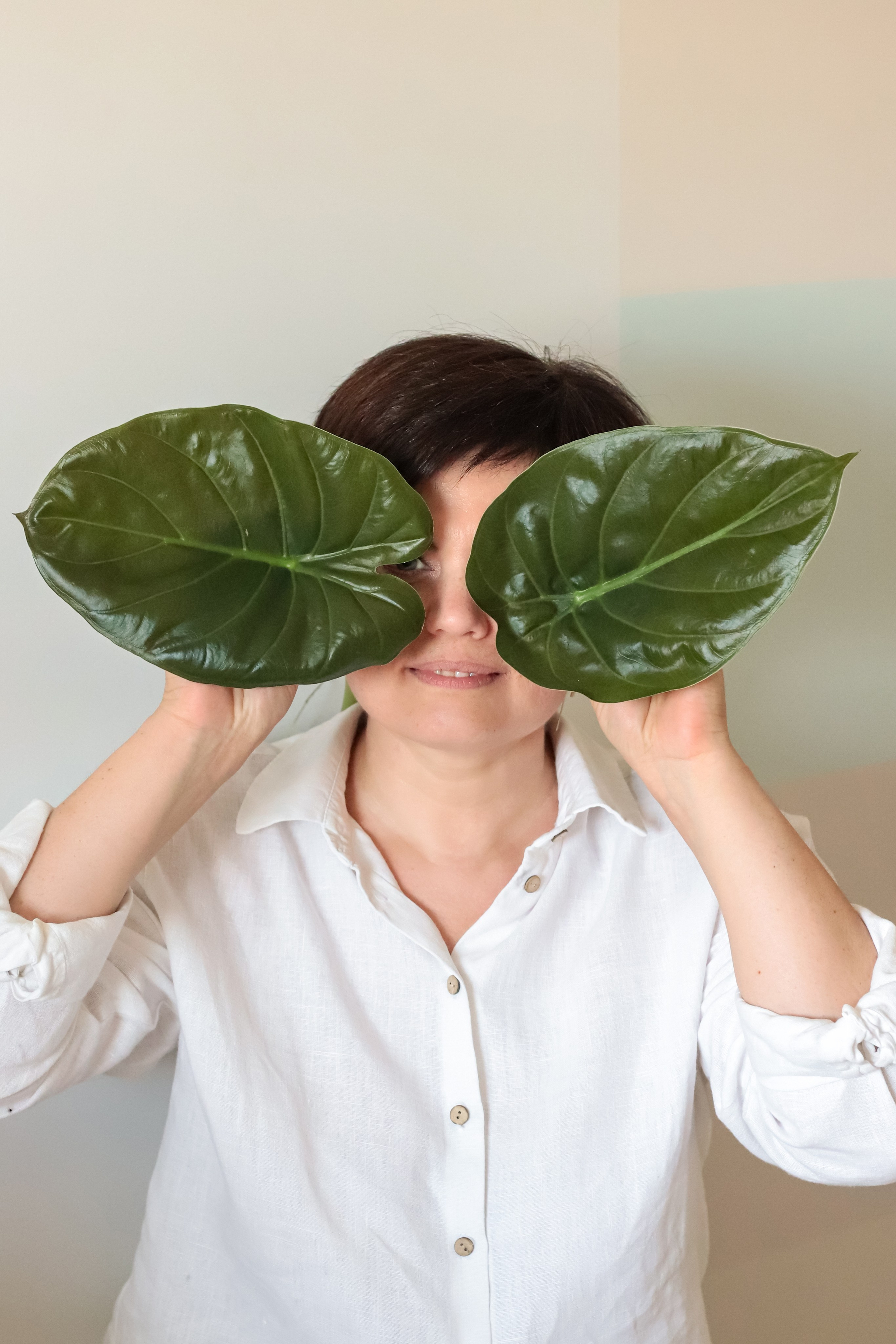 Контент съёмка для фитодизайнера. Фотограф Химки Анна Татарских