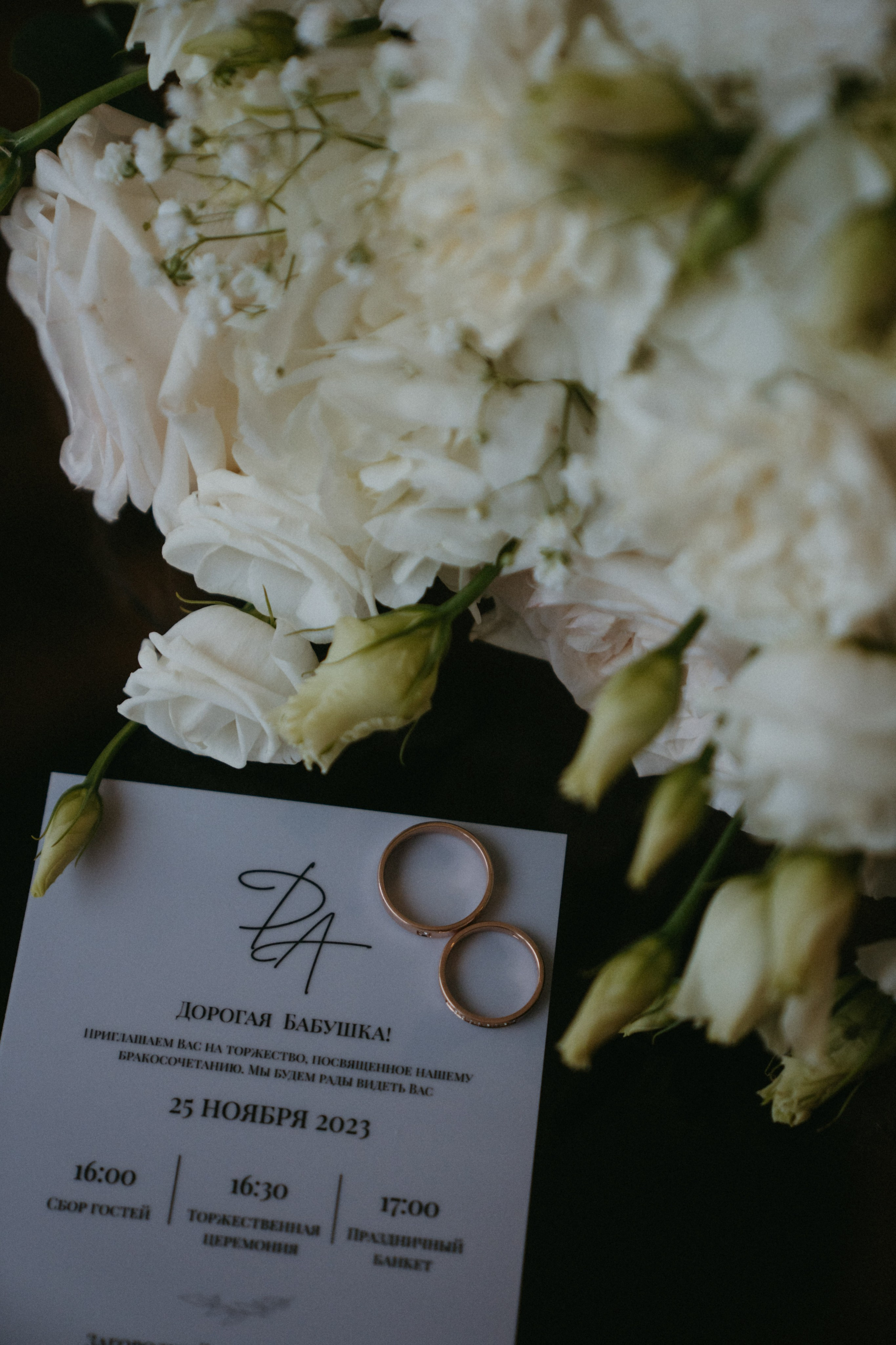 25/11/23. Фотограф Наталья Шелест