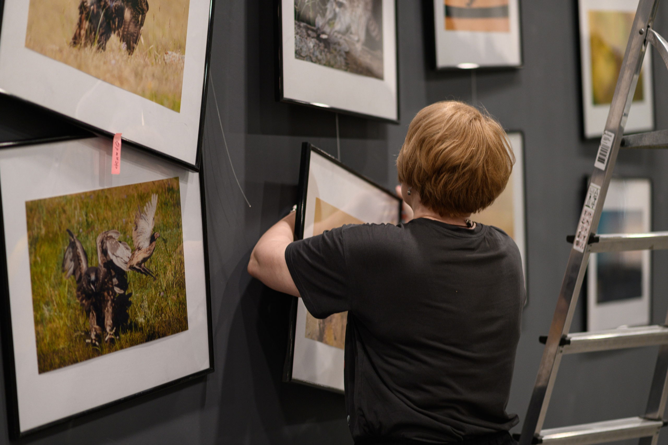Выставка «В чьих глазах красота?». Фотообъединение Самарского областного отделения Союза журналистов России