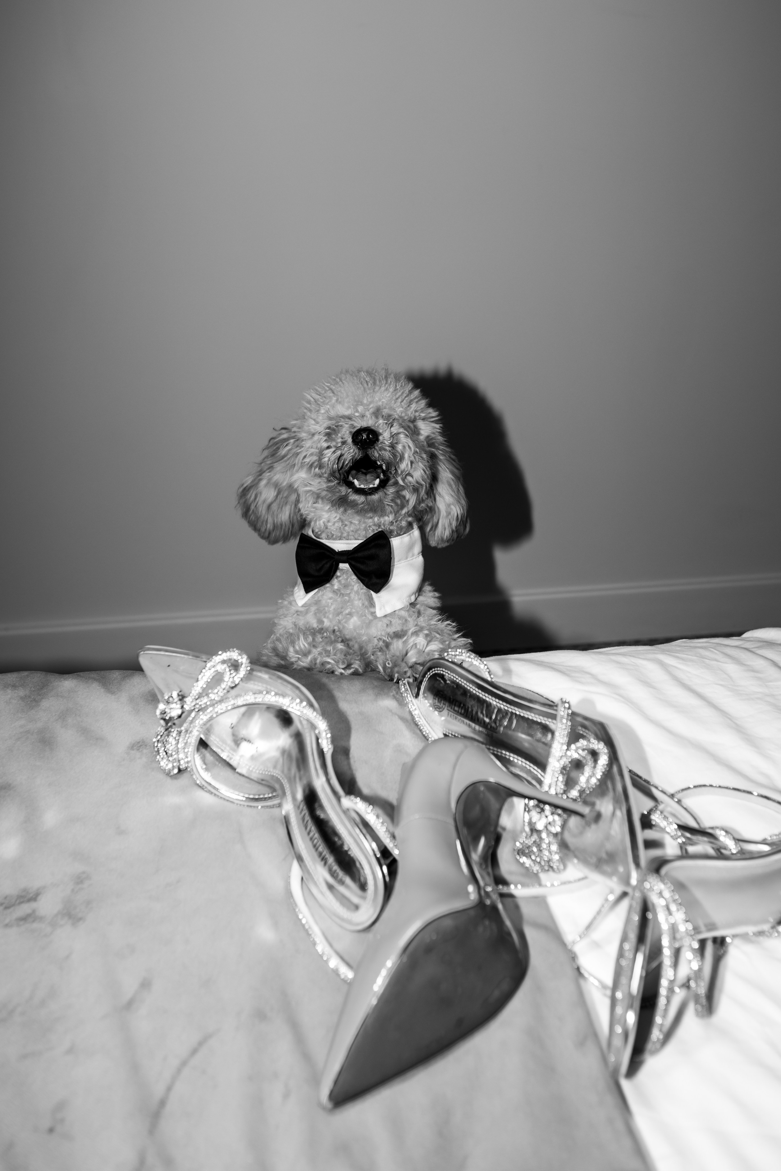 Pavel & Ekaterina. Romanovs | Свадебный фотограф и видеограф Чебоксары Казань Москва