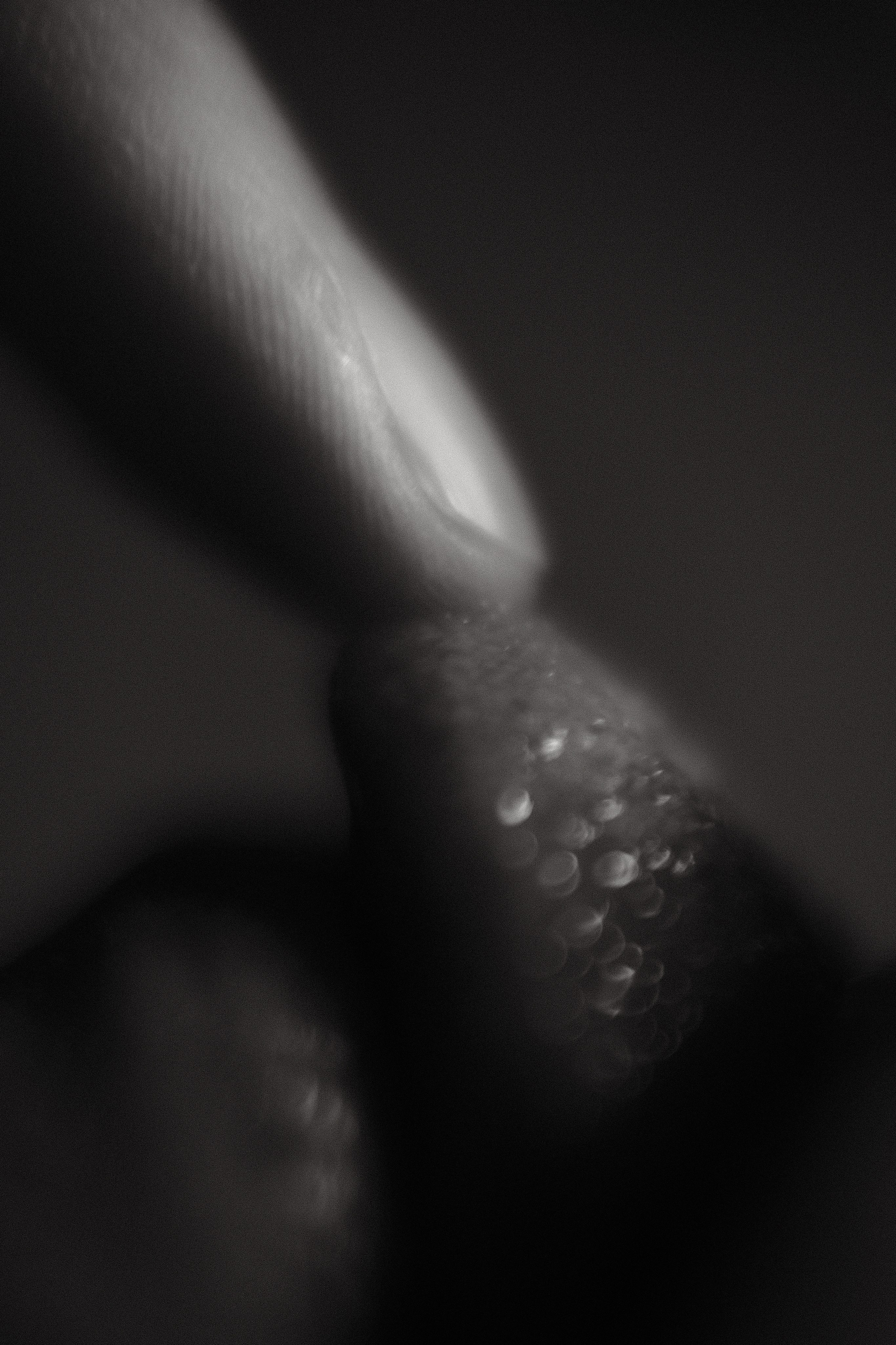 НЮ. Фото Портфолио Рустам Нерустам