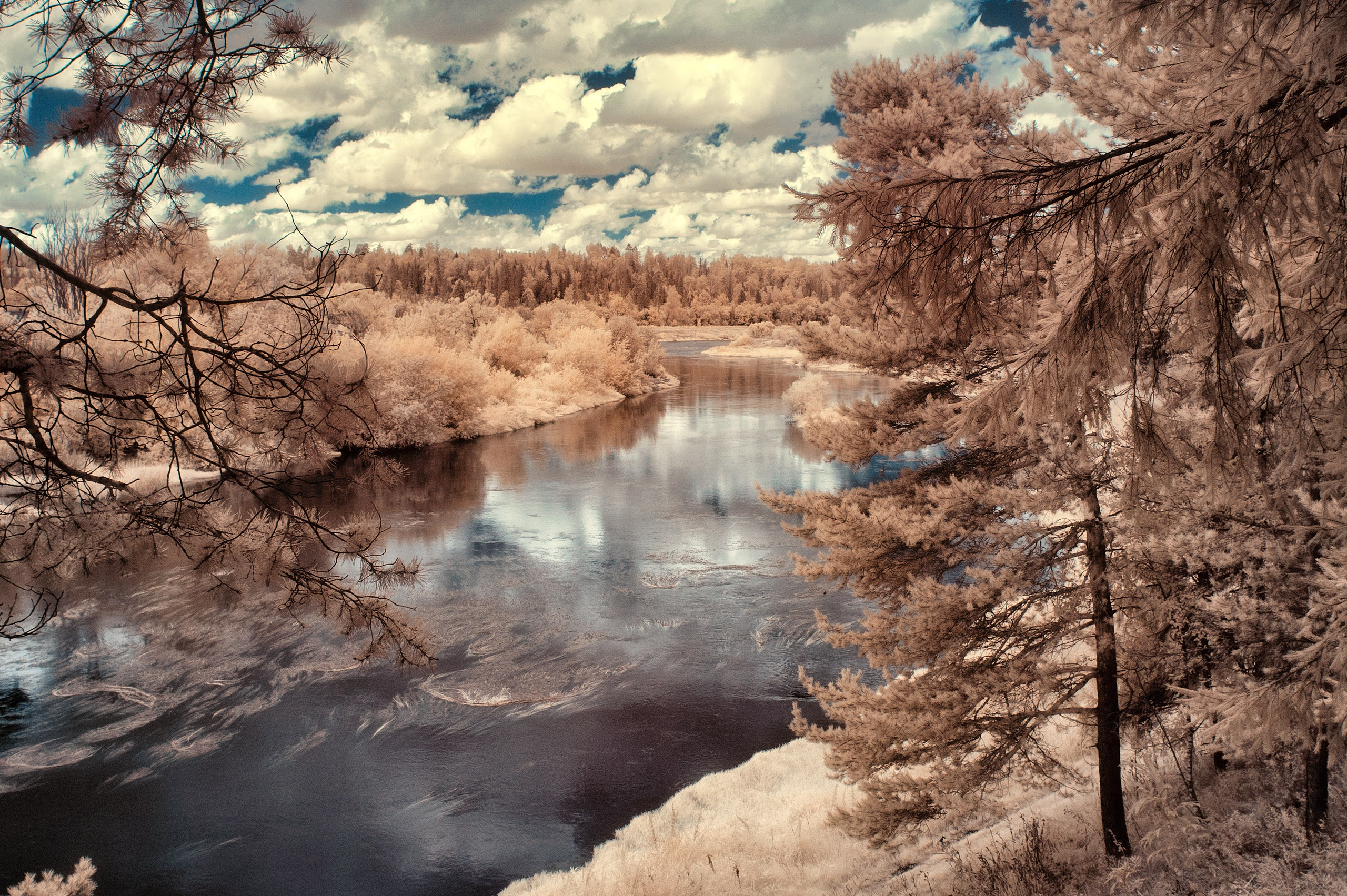 Infrared Photography. Solofilms