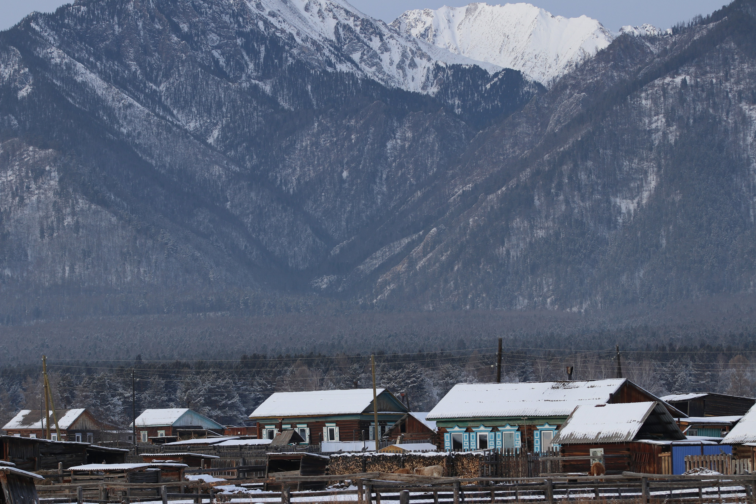 Аршан. Январь 2024. Путешественник-фотограф из Санкт-Петербурга Татьяна Свистулина