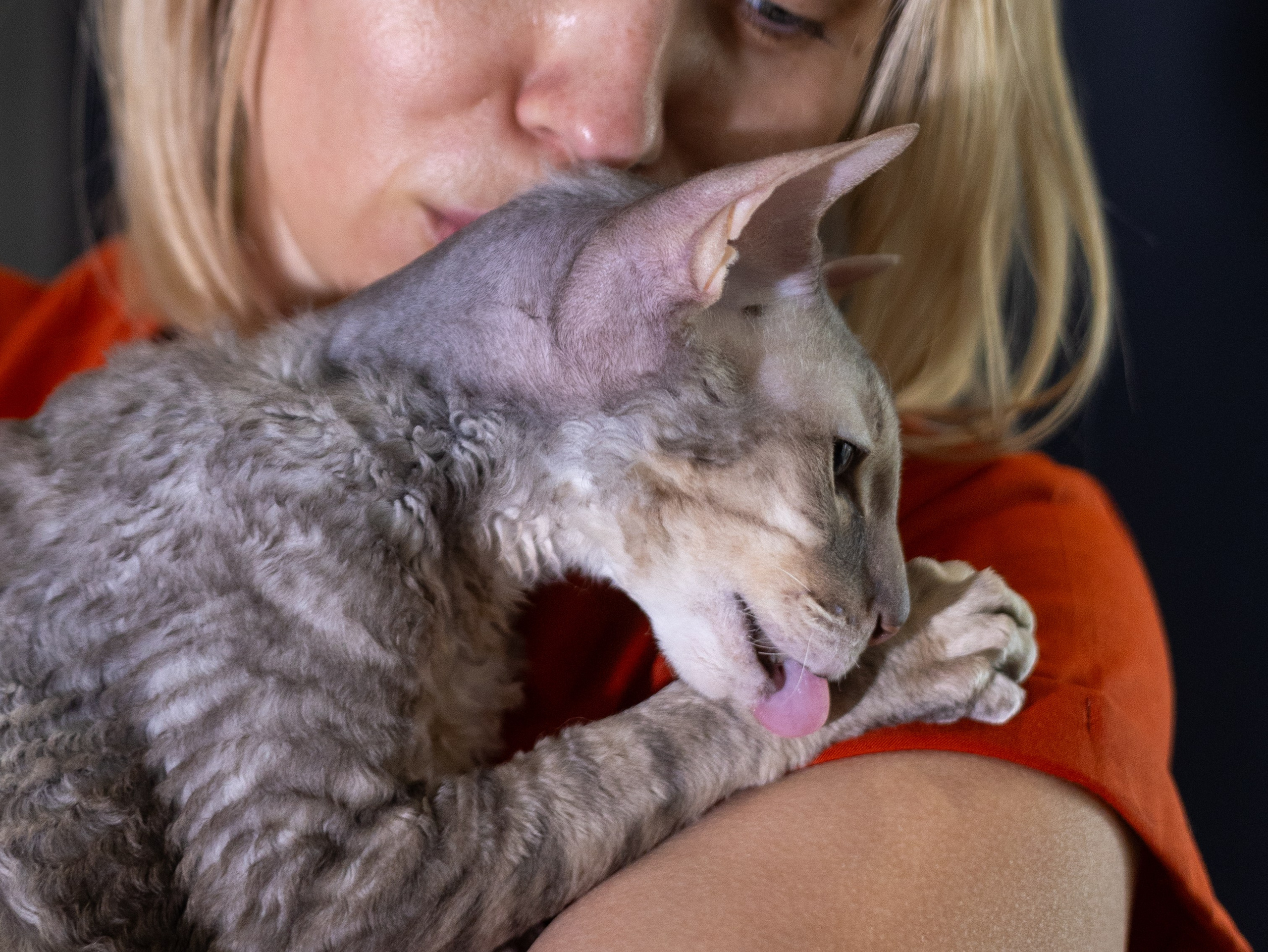 День рождение Зенита. Фотограф-анималист в Москве Кириллова Татьяна