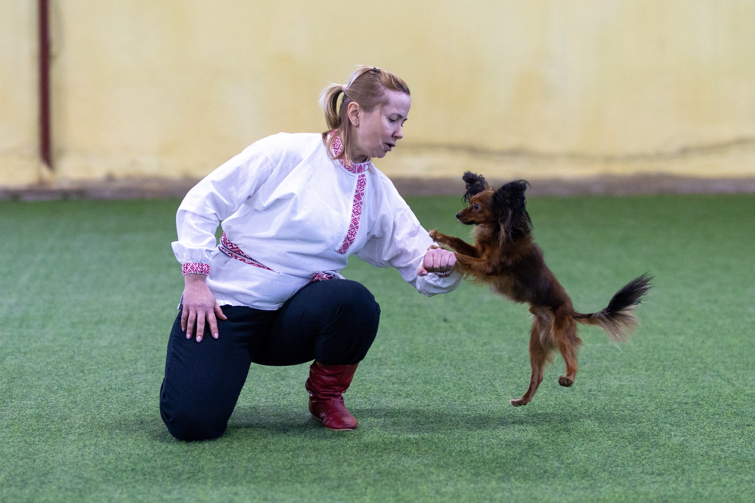Соревнования танцы. Фотограф-анималист в Москве Кириллова Татьяна