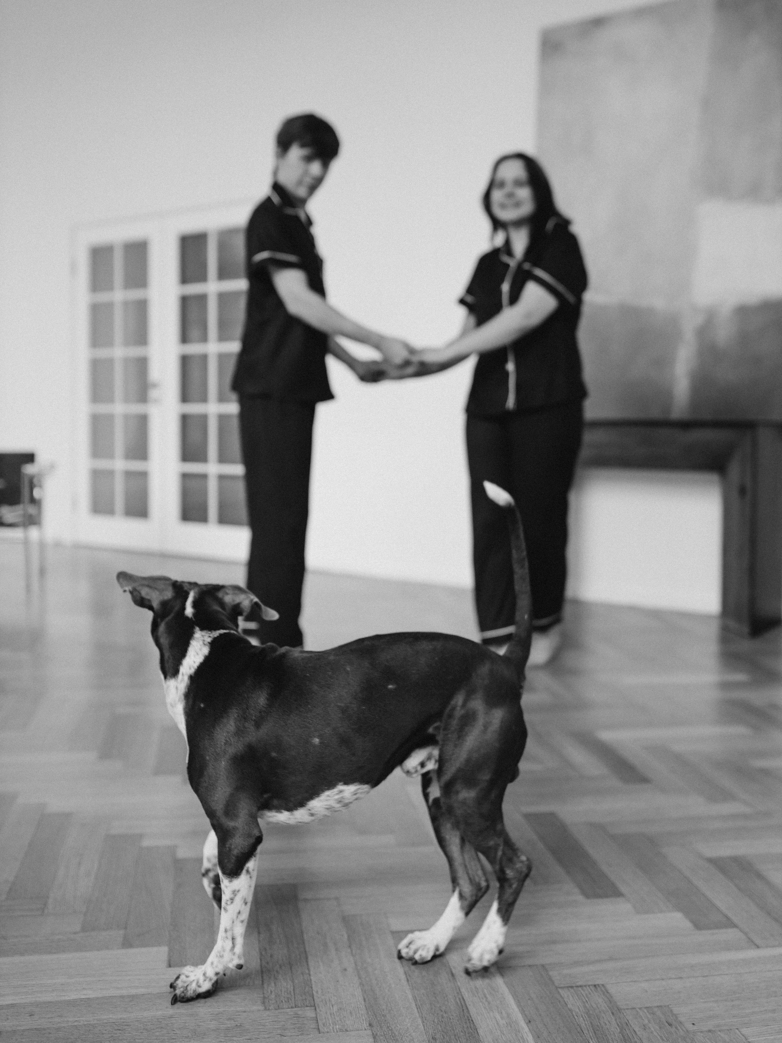 Тортик Даша и Никита. Фотограф-анималист в Москве Кириллова Татьяна